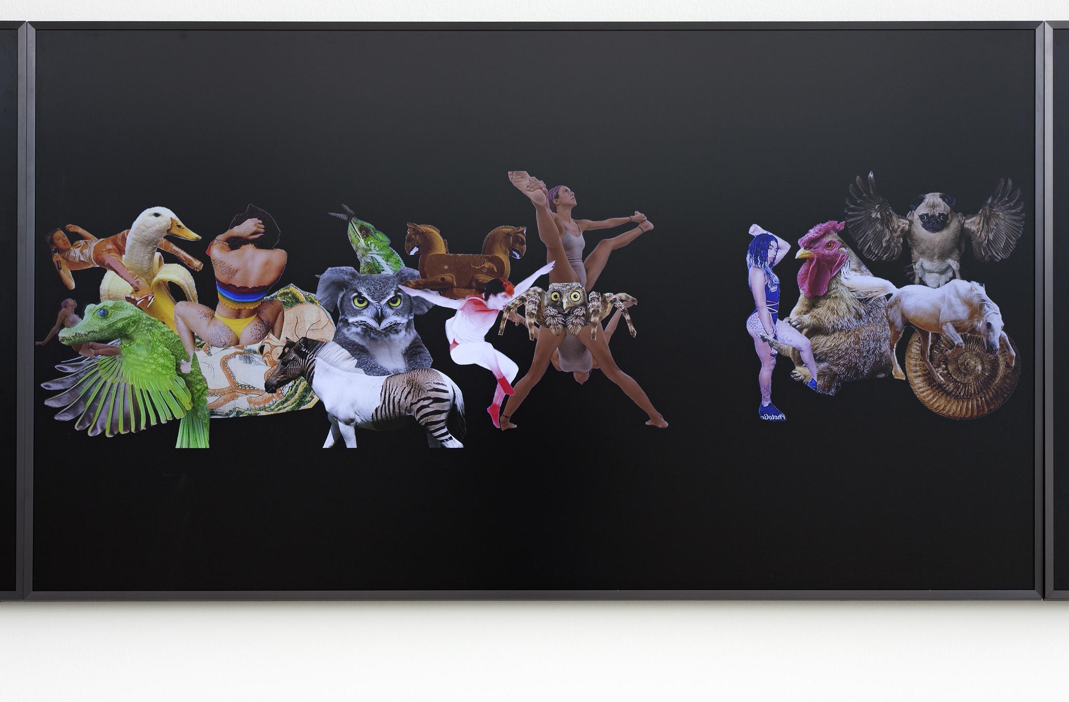 Exhibition View Cecilia Bengolea Soloshow «Oneness» at der TANK, Basel / Photo: Guadalupe Ruiz / Courtesy: the artist and Institut Kunst, Basel