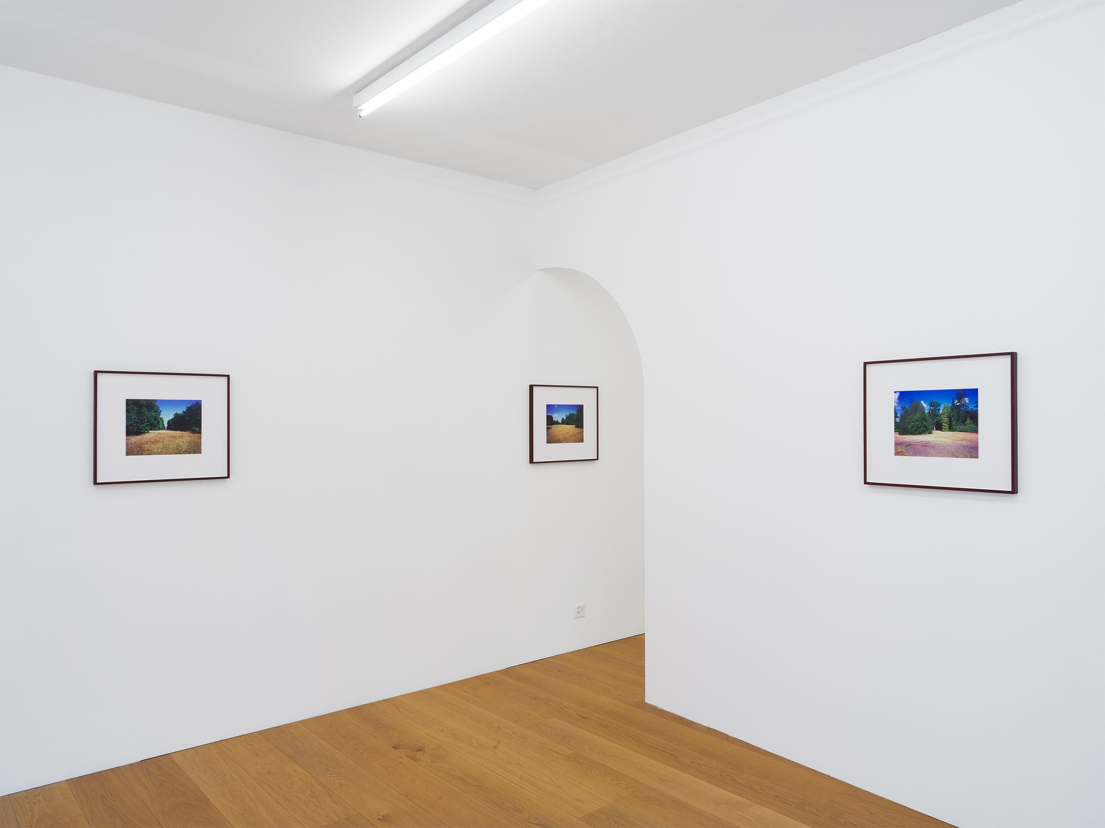 Exhibition View Cédric Eisenring Solo Show «pink/ green light» at Kirchgasse Gallery, 2021 / Photo: CE / Courtesy: the artist and Kirchgasse Gallery