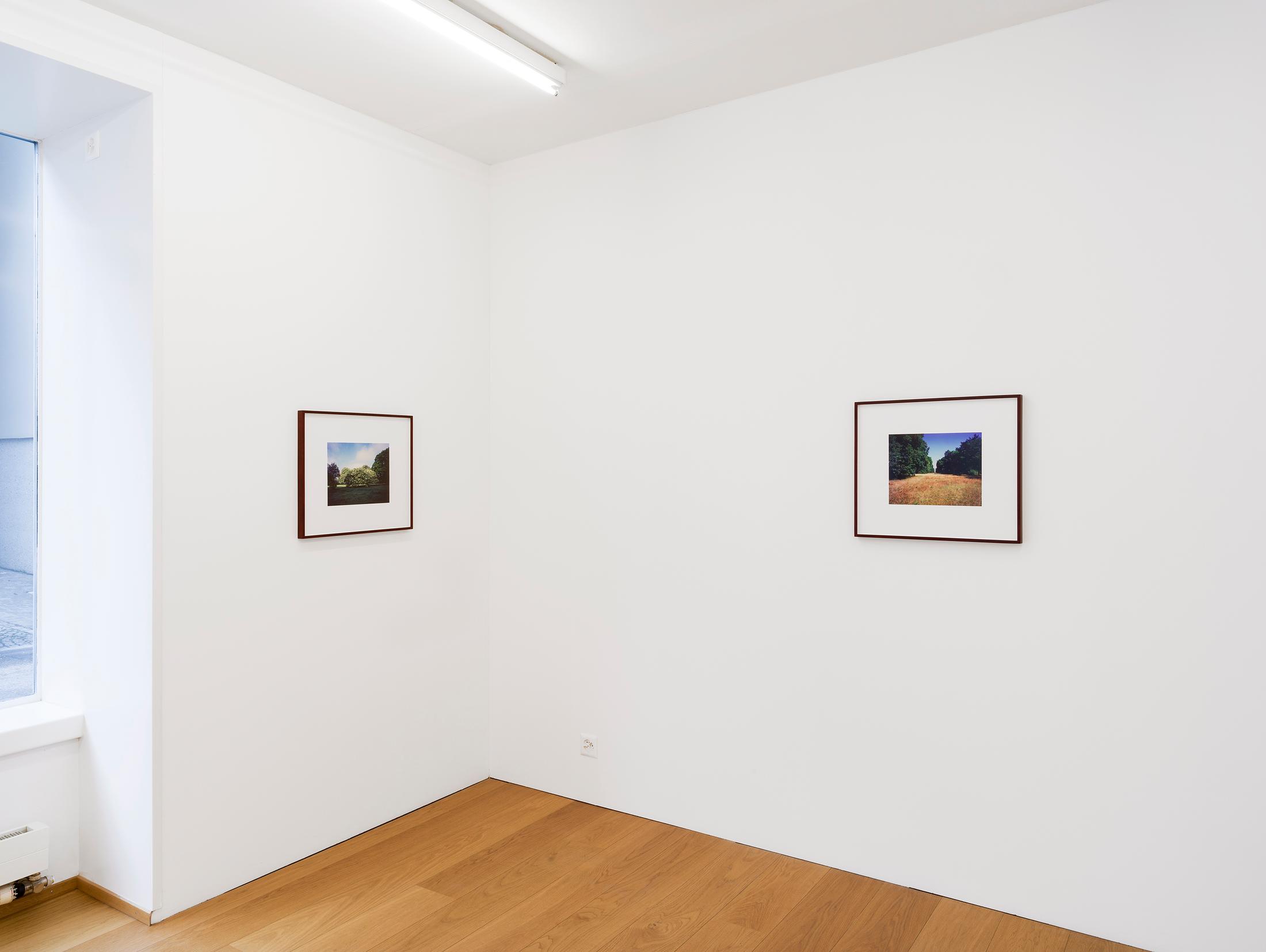 Exhibition View Cédric Eisenring Solo Show «pink/ green light» at Kirchgasse Gallery, 2021 / Photo: CE / Courtesy: the artist and Kirchgasse Gallery