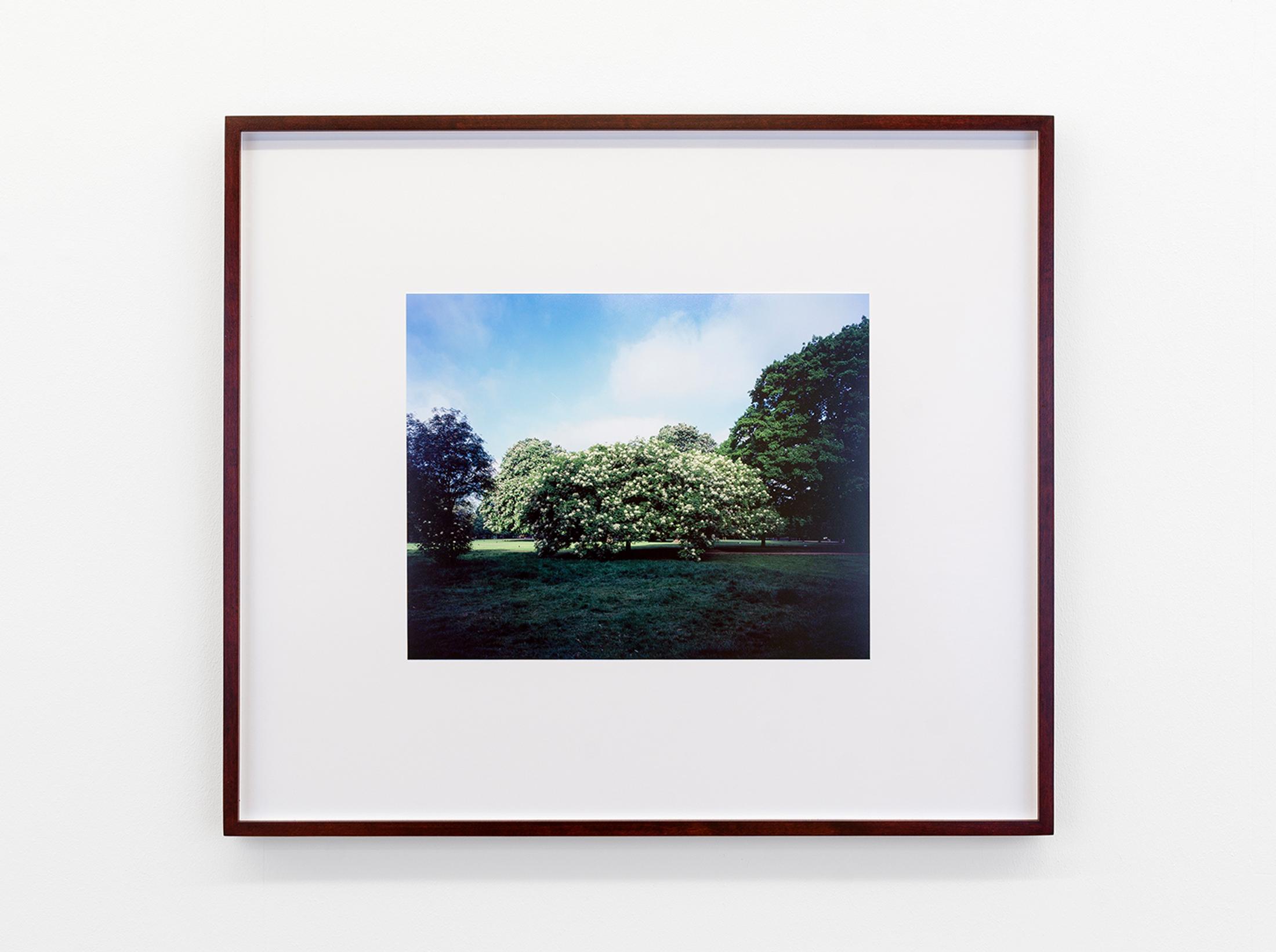 Exhibition View Cédric Eisenring Solo Show «pink/ green light; view on Cédric Eisenring, pink/ green light 16, Inkjet Print, 46 x 53 cm, 2020» at Kirchgasse Gallery, 2021 / Photo: CE / Courtesy: the artist and Kirchgasse Gallery