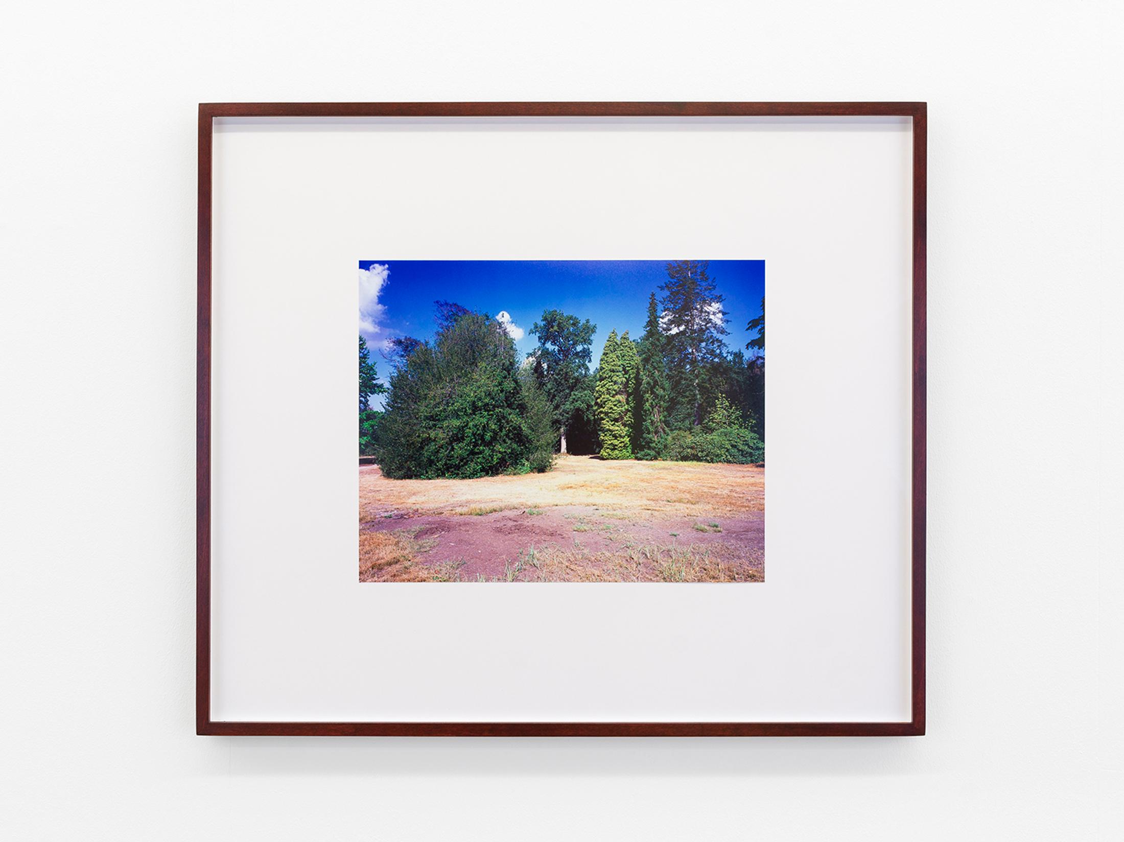 Exhibition View Cédric Eisenring Solo Show «pink/ green light; view on Cédric Eisenring, pink/ green light 17, Inkjet Print, 46 x 53 cm, 2020» at Kirchgasse Gallery, 2021 / Photo: CE / Courtesy: the artist and Kirchgasse Gallery