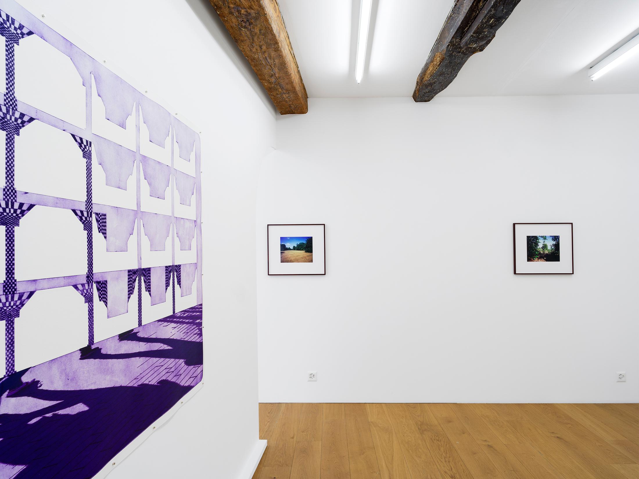 Exhibition View Cédric Eisenring Solo Show «pink/ green light» at Kirchgasse Gallery, 2021 / Photo: CE / Courtesy: the artist and Kirchgasse Gallery