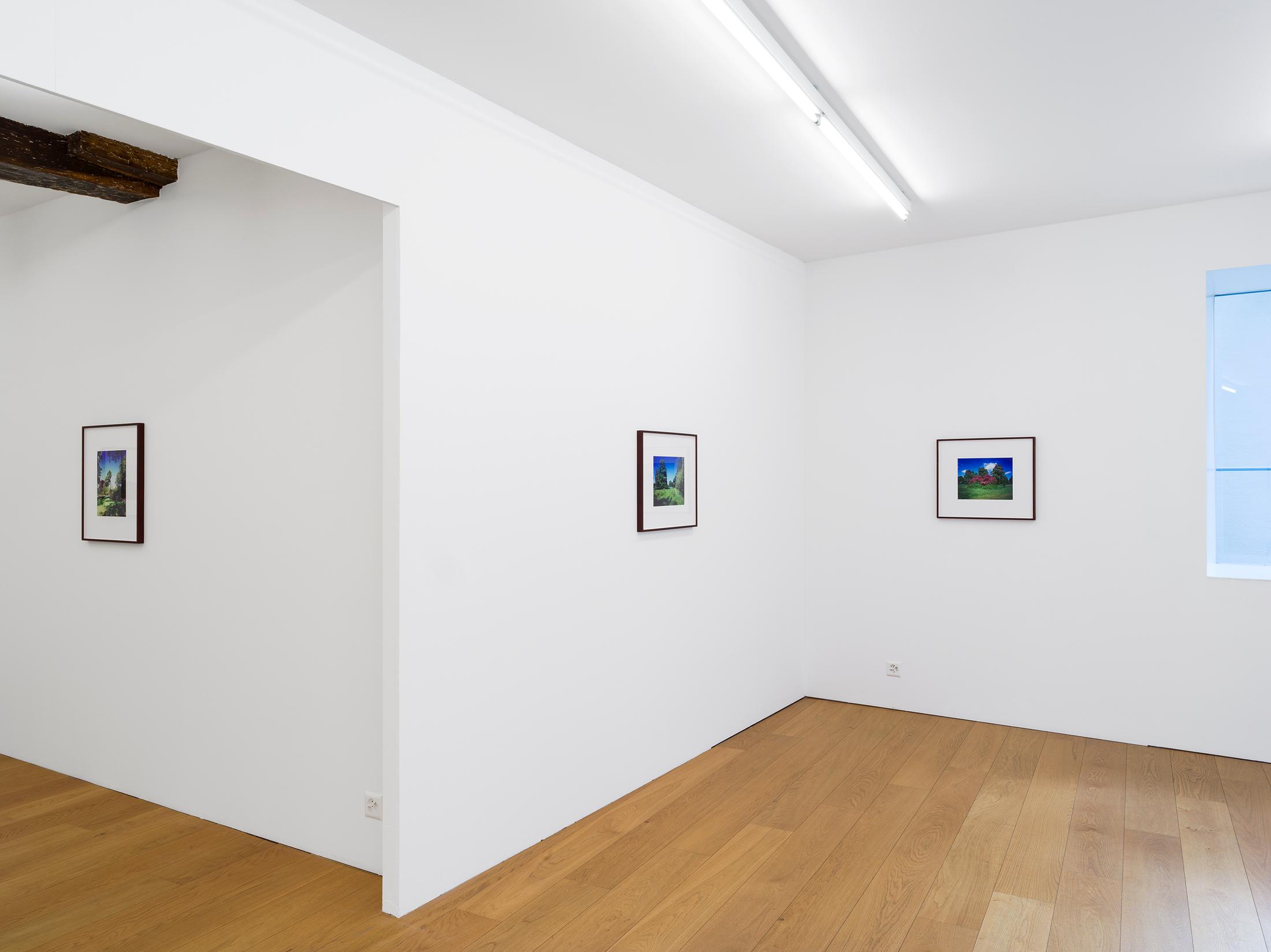 Exhibition View Cédric Eisenring Solo Show «pink/ green light» at Kirchgasse Gallery, 2021 / Photo: CE / Courtesy: the artist and Kirchgasse Gallery