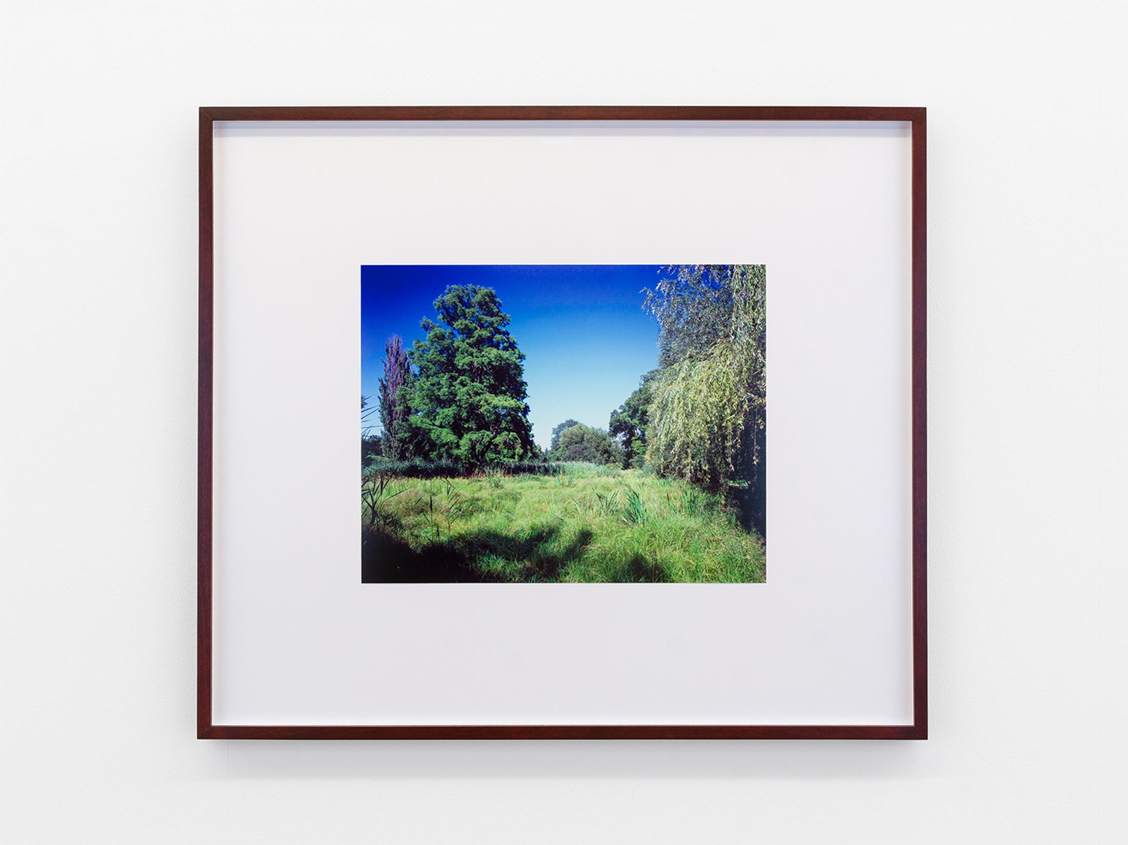 Exhibition View Cédric Eisenring Solo Show «pink/ green light; view on Cédric Eisenring, pink/ green light 8, Inkjet Print, 46 x 53 cm, 2020» at Kirchgasse Gallery, 2021 / Photo: CE / Courtesy: the artist and Kirchgasse Gallery