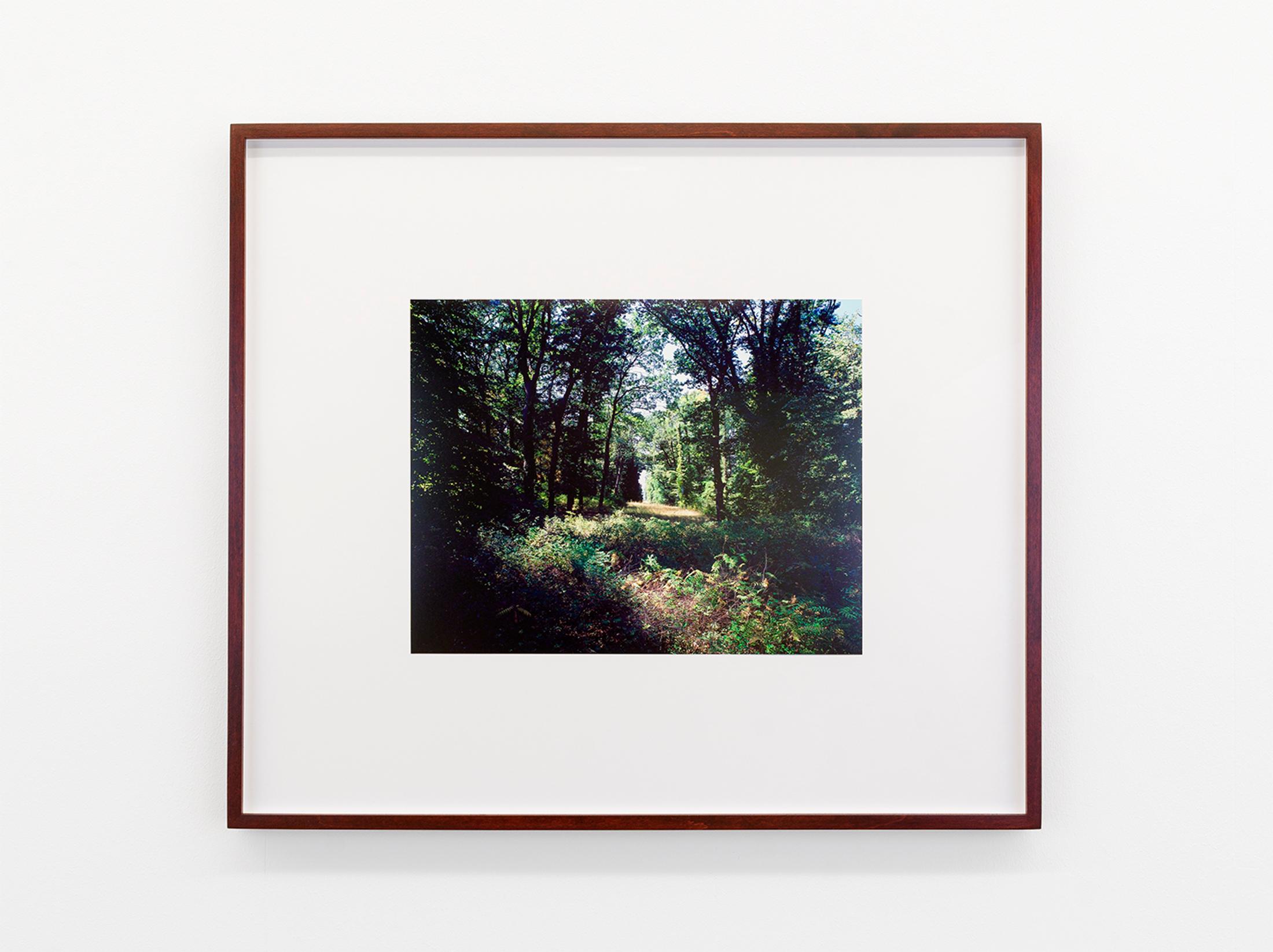 Exhibition View Cédric Eisenring Solo Show «pink/ green light; view on Cédric Eisenring, pink/ green light 10, Inkjet Print, 53 x 46 cm, 2020» at Kirchgasse Gallery, 2021 / Photo: CE / Courtesy: the artist and Kirchgasse Gallery