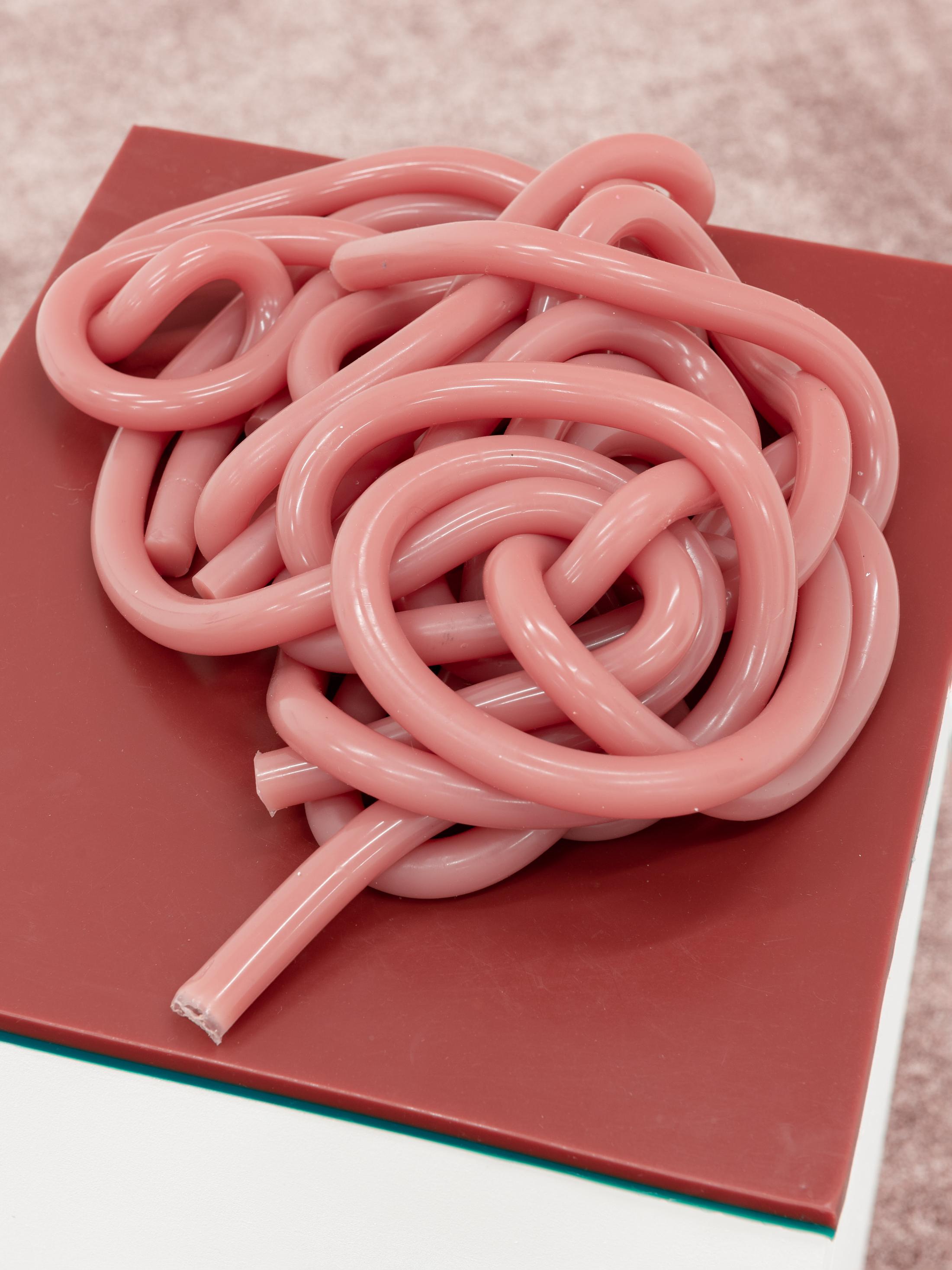 Exhibition View Group Show «TIES AND KNOTS AND BANDAGES; view on Vanessa Safavi, Untitled 4, from the VACUUM SERIES, 2022, Silicone, pigments, variable dimensions» at Kronne Couronne, Biel/Bienne, 2022 / Photo: Thalles Piaget / Courtesy: the artist and Krone Couronne