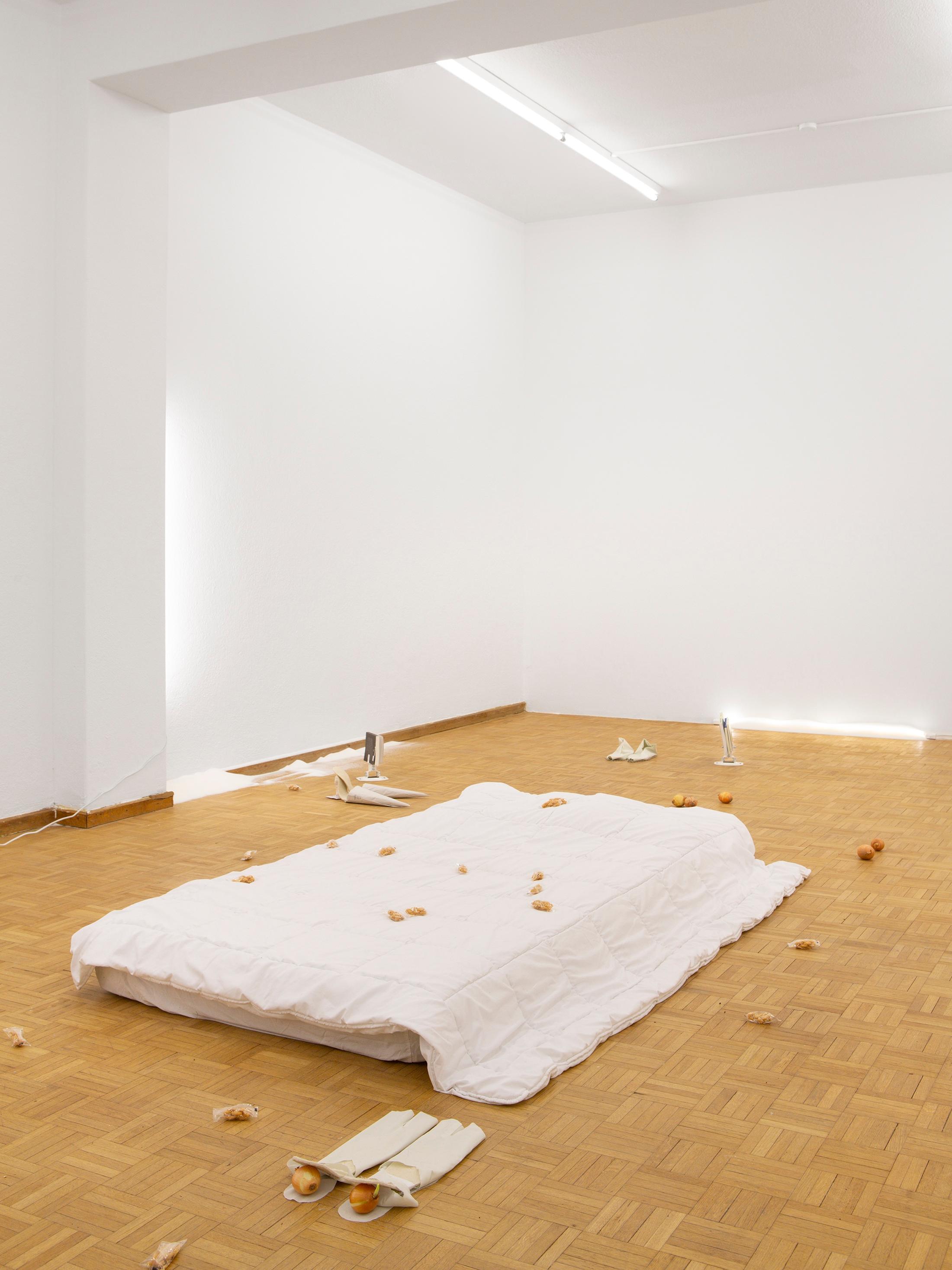 Exhibition View Céline Mathieu Solo Show «Economy of Means» at Sentiment, Zurich, 2022-2023 / Photo: Philipp Rupp and Julien Gremaud / Courtesy: the artist and Sentiment