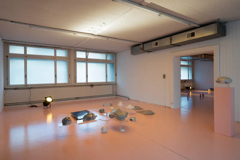 Exhibition View Ceylan Öztrük Soloshow «Am a mollusk, too; re/producing tangents» at Longtang, Zurich, 2020 / Photo: Flavio Karrer / Courtesy: the artist and Longtang