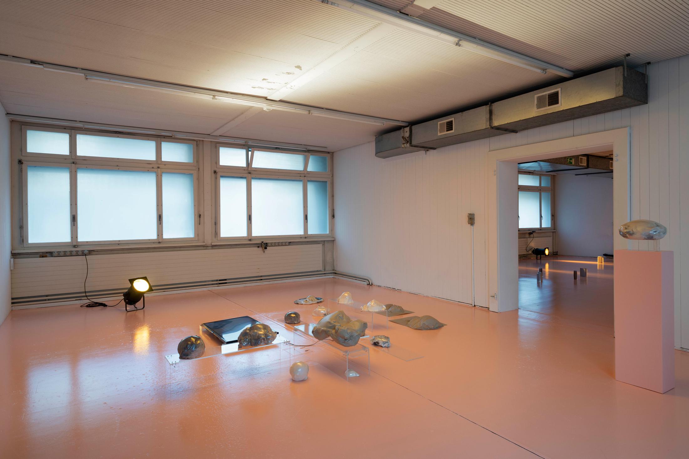 Exhibition View Ceylan Öztrük Soloshow «Am a mollusk, too; re/producing tangents» at Longtang, Zurich, 2020 / Photo: Flavio Karrer / Courtesy: the artist and Longtang