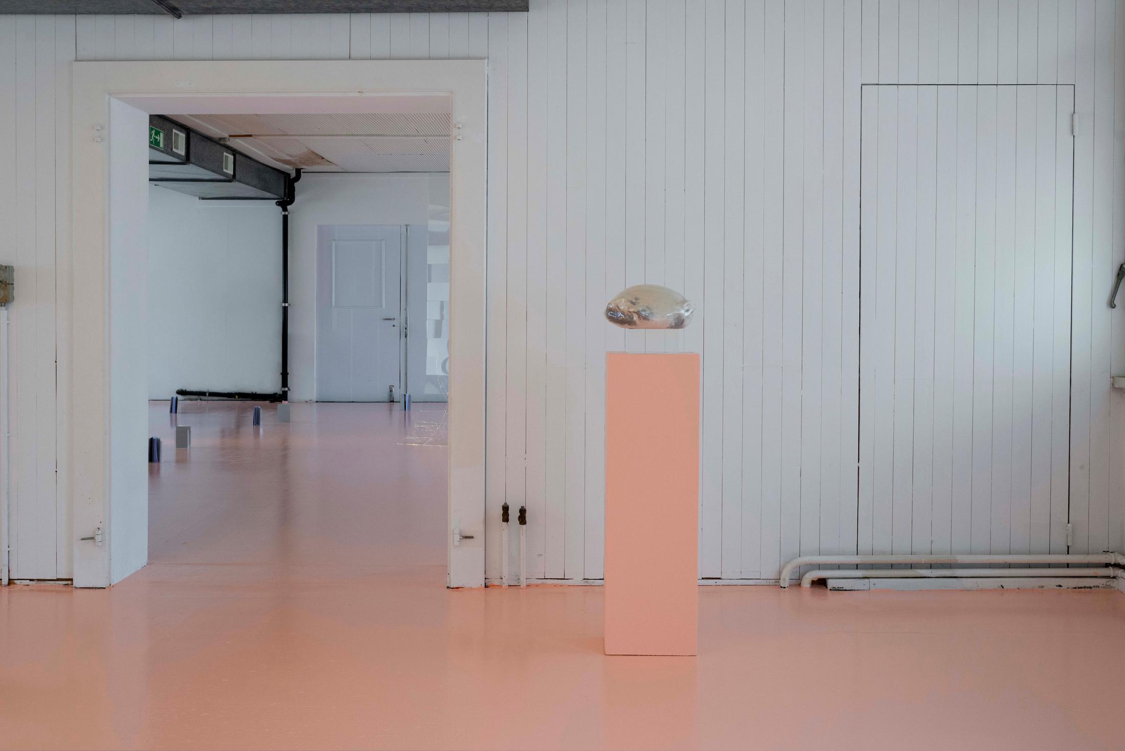 Exhibition View Ceylan Öztrük Soloshow «Am a mollusk, too; re/producing tangents; view on Ceylan Öztrük, Pearl nr. 8, ceramic and acryl, 24 x 30 x 23cm, 2020» at Longtang, Zurich, 2020 / Photo: Flavio Karrer / Courtesy: the artist and Longtang