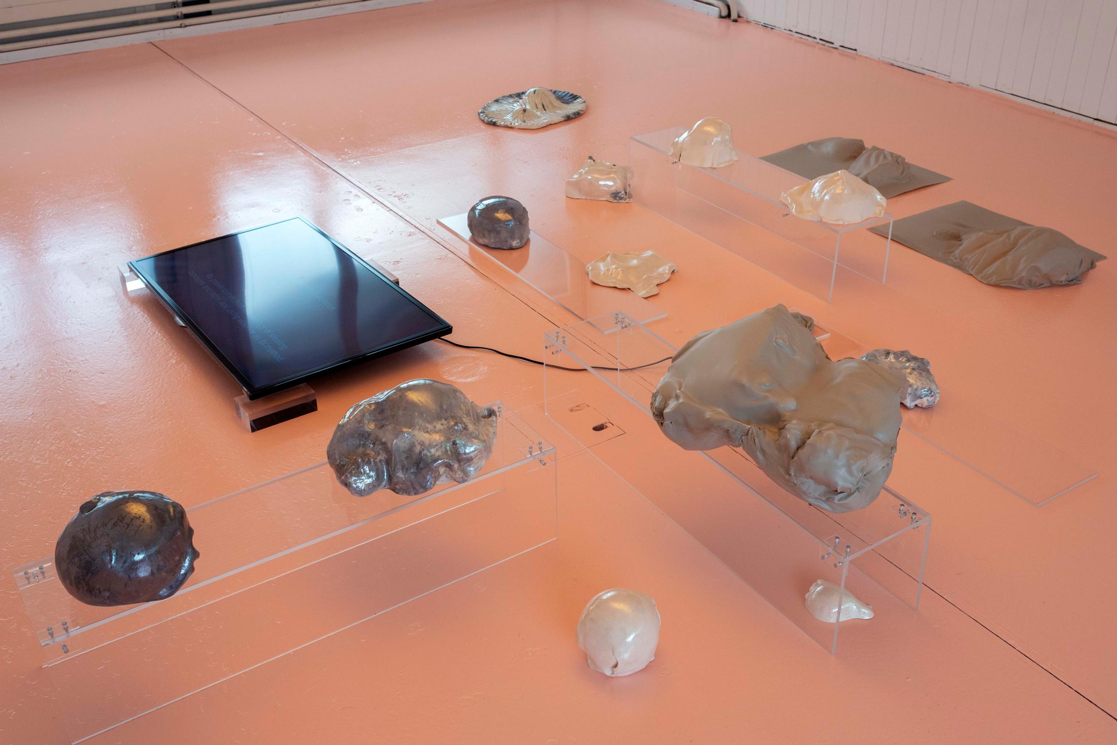 Exhibition View Ceylan Öztrük Soloshow «Am a mollusk, too; re/producing tangents» at Longtang, Zurich, 2020 / Photo: Flavio Karrer / Courtesy: the artist and Longtang