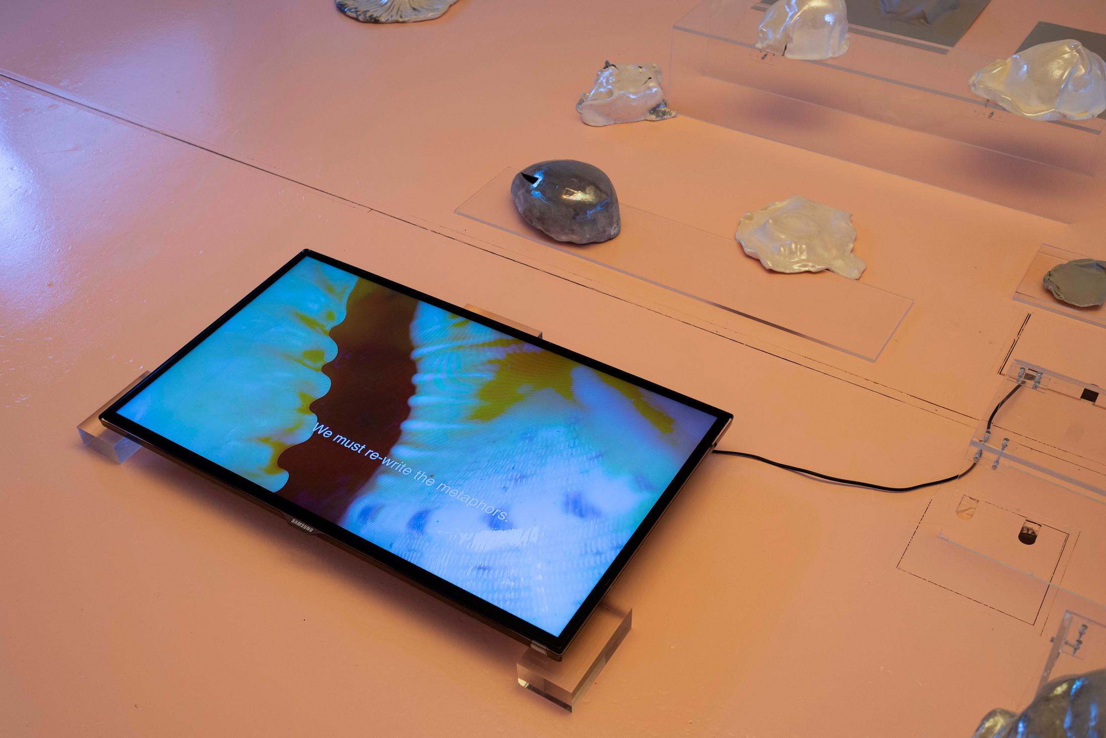 Exhibition View Ceylan Öztrük Soloshow «Am a mollusk, too; re/producing tangents; view on Ceylan Öztrük, untitled film, 4:25min, 2020» at Longtang, Zurich, 2020 / Photo: Flavio Karrer / Courtesy: the artist and Longtang