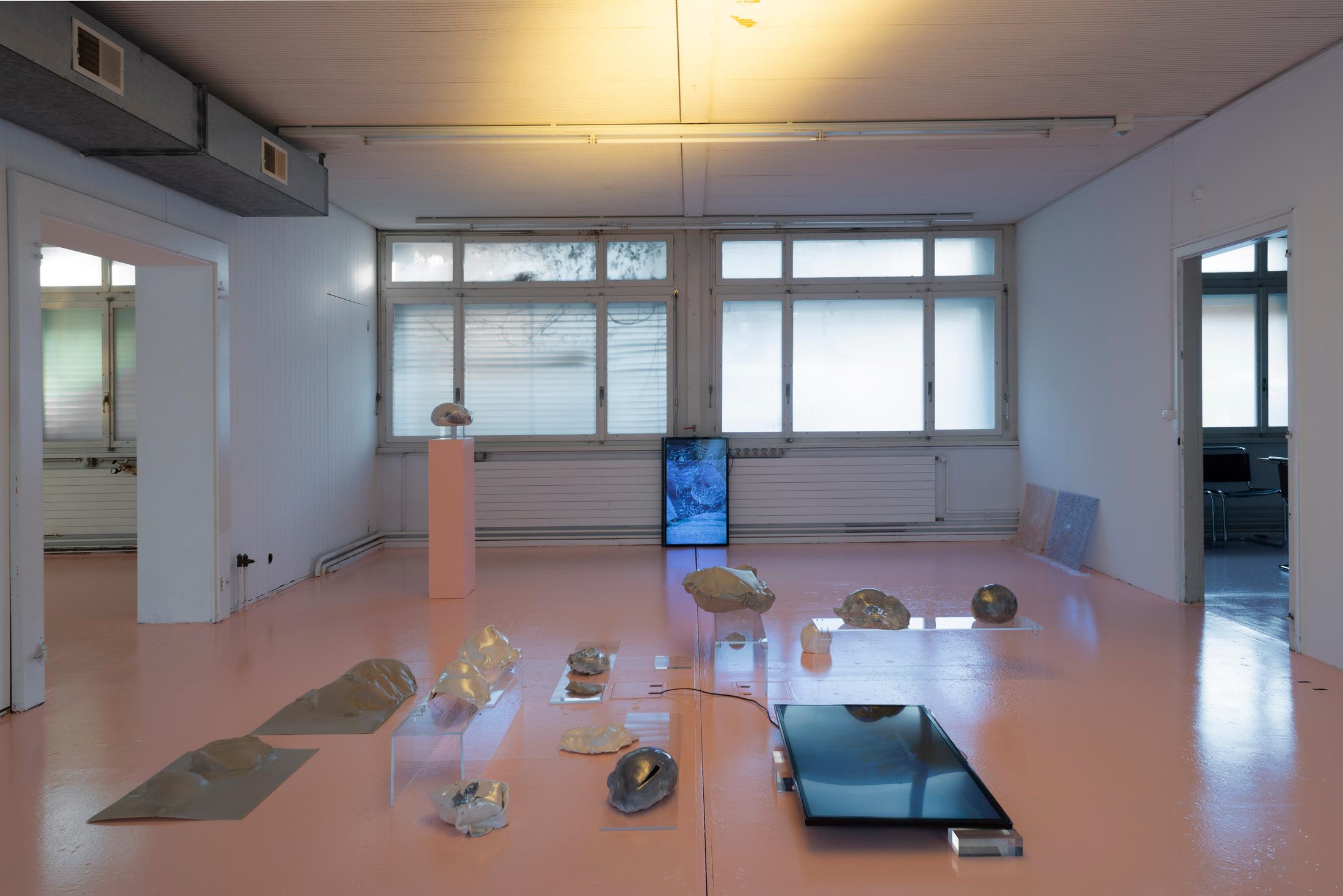 Exhibition View Ceylan Öztrük Soloshow «Am a mollusk, too; re/producing tangents» at Longtang, Zurich, 2020 / Photo: Flavio Karrer / Courtesy: the artist and Longtang