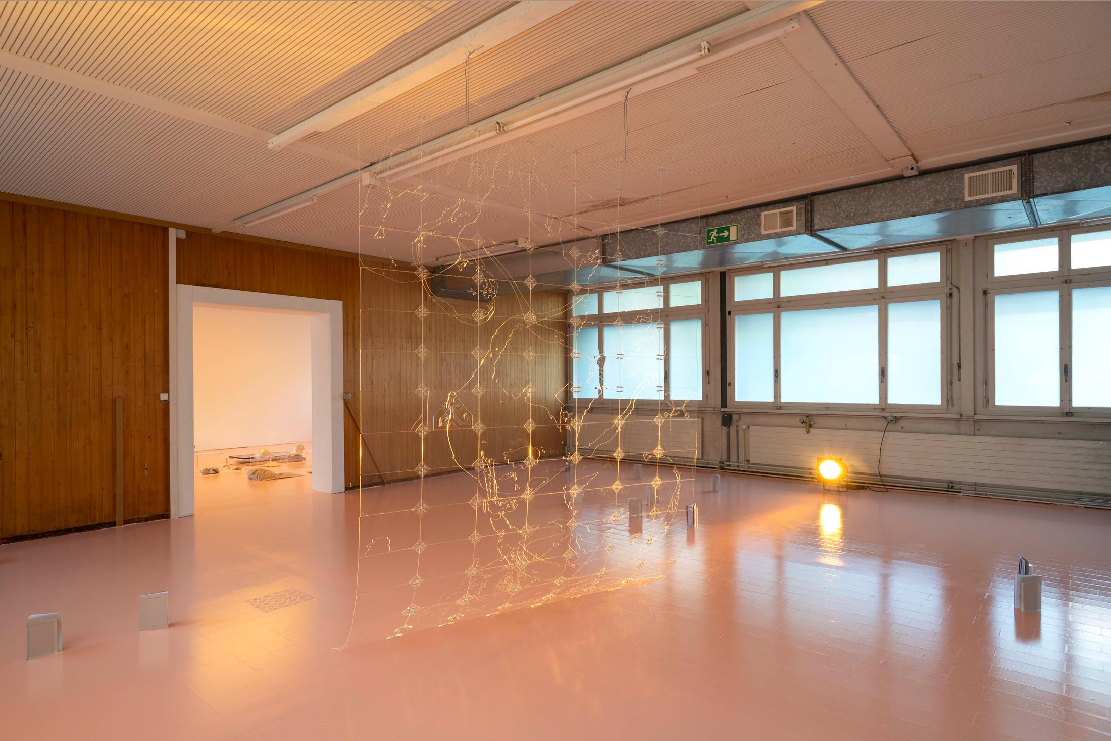 Exhibition View Ceylan Öztrük Soloshow «Am a mollusk, too; re/producing tangents; view on Ceylan Öztrük, A Tangent Model (large), engraving on acryl and metal screws, 234 x 175 x 0.3 cm, 2020» at Longtang, Zurich, 2020 / Photo: Flavio Karrer / Courtesy: the artist and Longtang