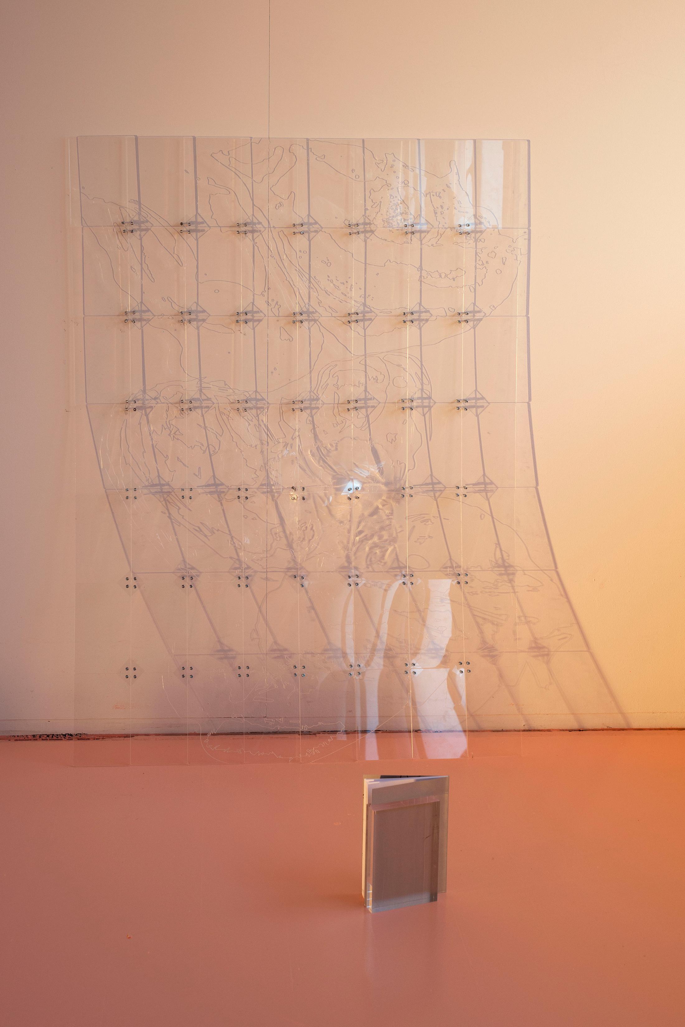 Exhibition View Ceylan Öztrük Soloshow «Am a mollusk, too; re/producing tangents; view on Ceylan Öztrük, A Tangent Model, engraving on acryl and metal screws, 113 x 82 x 0.3 cm, 2020» at Longtang, Zurich, 2020 / Photo: Flavio Karrer / Courtesy: the artist and Longtang