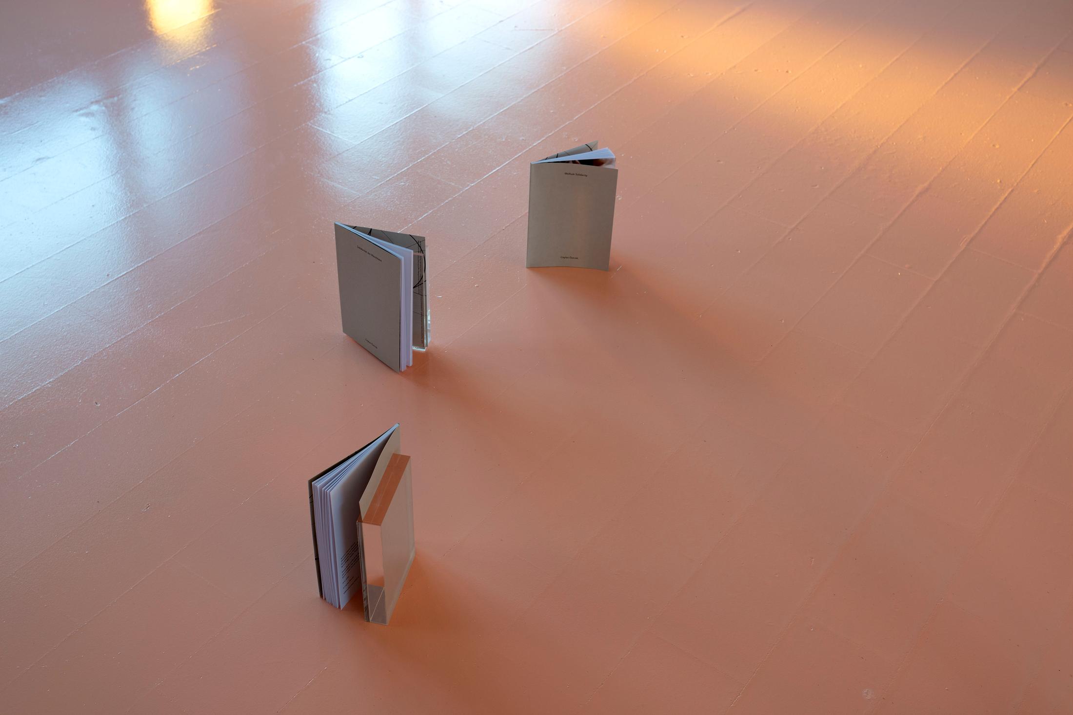 Exhibition View Ceylan Öztrük Soloshow «Am a mollusk, too; re/producing tangents; view on Ceylan Öztrük, soft cover book, English: Mollusk Solidarity – German: Solidarität der Weichtiere, 18 x 12cm, ISBN: 978-3-033-07927-4, with acryl pedestal display: 15,5 x 10,5 cm, 2020» at Longtang, Zurich, 2020 / Photo: Flavio Karrer / Courtesy: the artist and Longtang