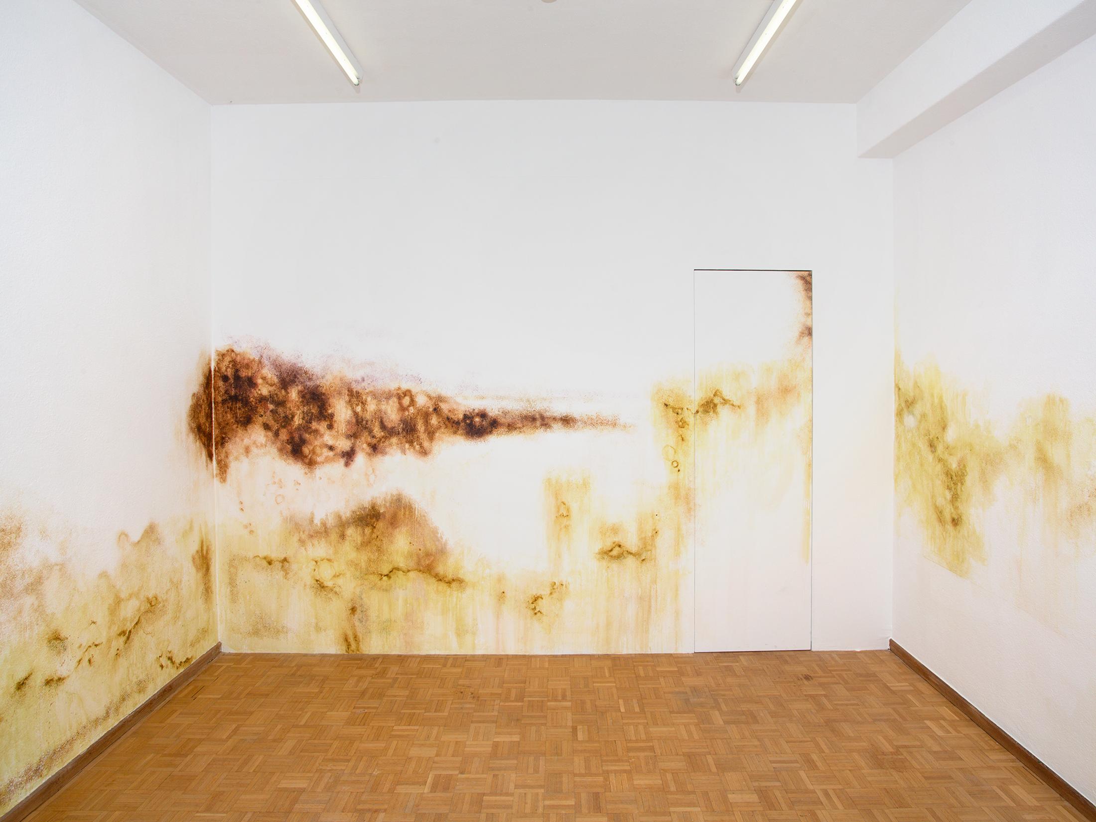 Exhibition View Duo Show «Wet Excess; view on Ceylan Öztrük, Mold Work II, 2022, Collaboration with Emina Sljivar, Painting on the Wall, Variable Dimensions» at Sentiment, Zurich, 2022 / Photo: Philipp Rupp and Julien Gremaud / Courtesy: the artist and Sentiment