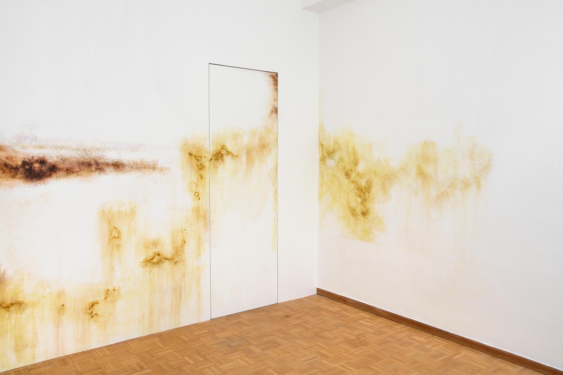 Exhibition View Duo Show «Wet Excess; view on Ceylan Öztrük, Mold Work II, 2022, Collaboration with Emina Sljivar, Painting on the Wall, Variable Dimensions» at Sentiment, Zurich, 2022 / Photo: Philipp Rupp and Julien Gremaud / Courtesy: the artist and Sentiment