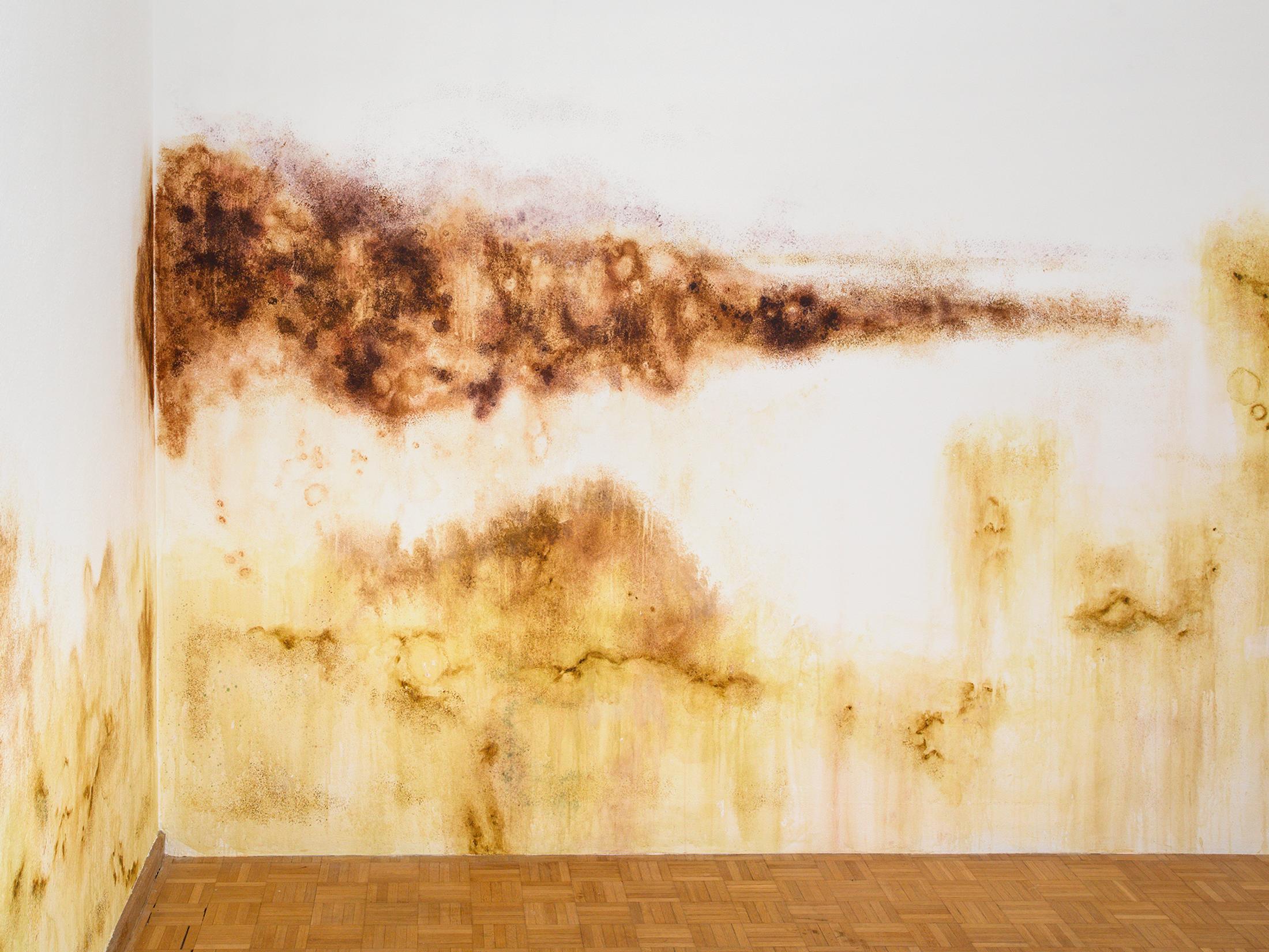 Exhibition View Duo Show «Wet Excess; view on Ceylan Öztrük, Mold Work II, 2022, Collaboration with Emina Sljivar, Painting on the Wall, Variable Dimensions» at Sentiment, Zurich, 2022 / Photo: Philipp Rupp and Julien Gremaud / Courtesy: the artist and Sentiment