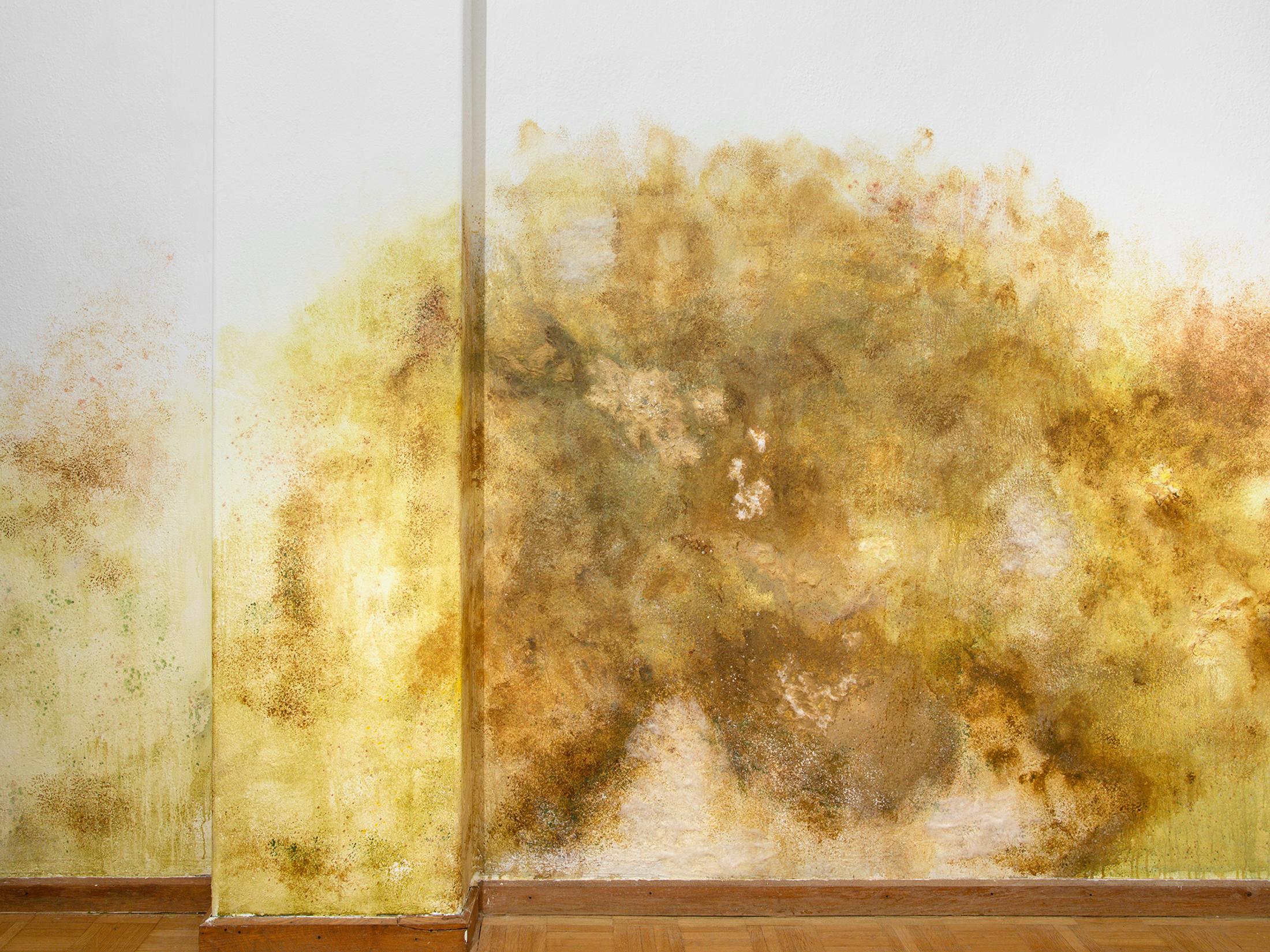 Exhibition View Duo Show «Wet Excess; view on Ceylan Öztrük, Mold Work II, 2022, Collaboration with Emina Sljivar, Painting on the Wall, Variable Dimensions» at Sentiment, Zurich, 2022 / Photo: Philipp Rupp and Julien Gremaud / Courtesy: the artist and Sentiment