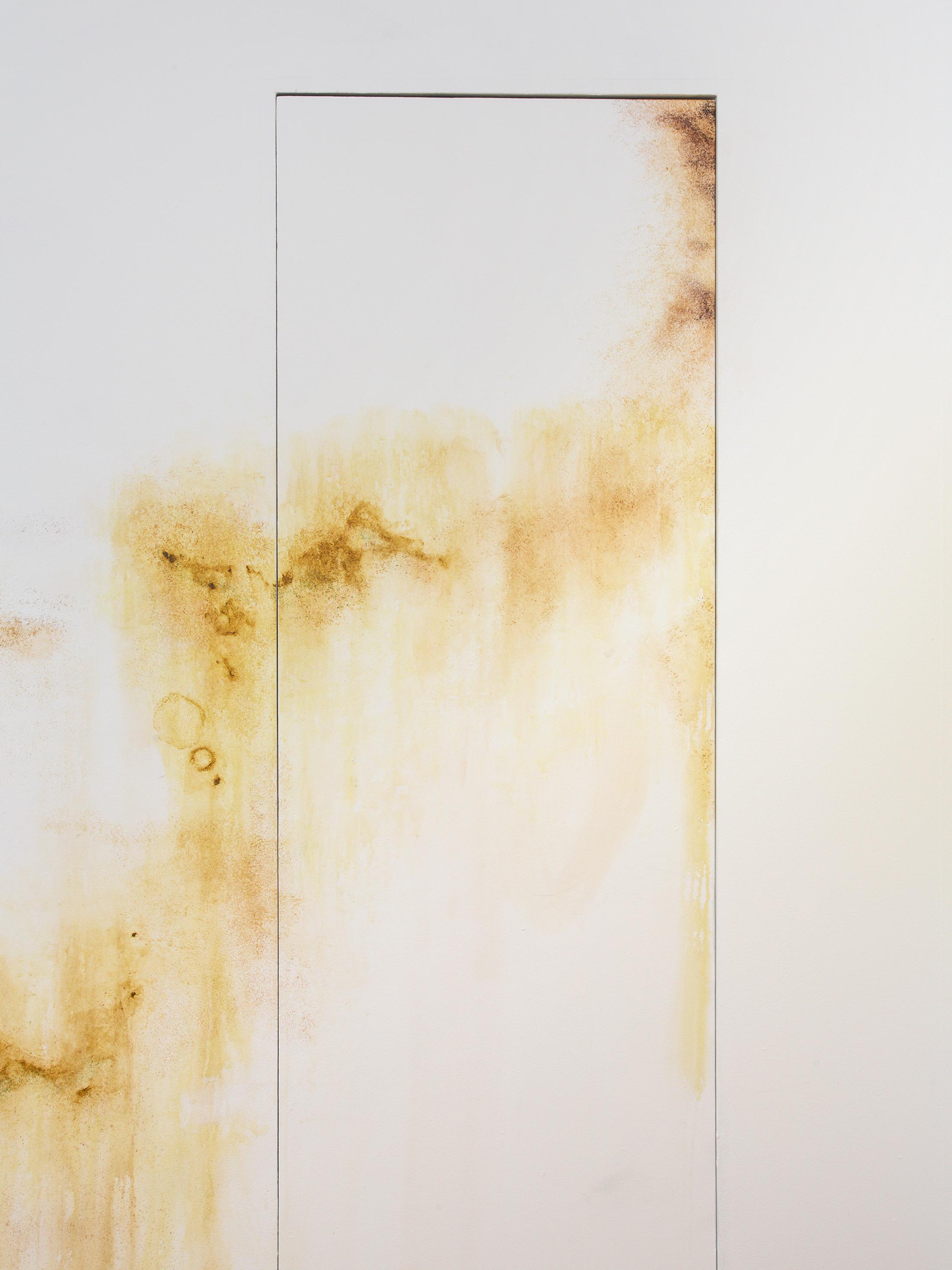 Exhibition View Duo Show «Wet Excess; view on Ceylan Öztrük, Mold Work II, 2022, Collaboration with Emina Sljivar, Painting on the Wall, Variable Dimensions» at Sentiment, Zurich, 2022 / Photo: Philipp Rupp and Julien Gremaud / Courtesy: the artist and Sentiment
