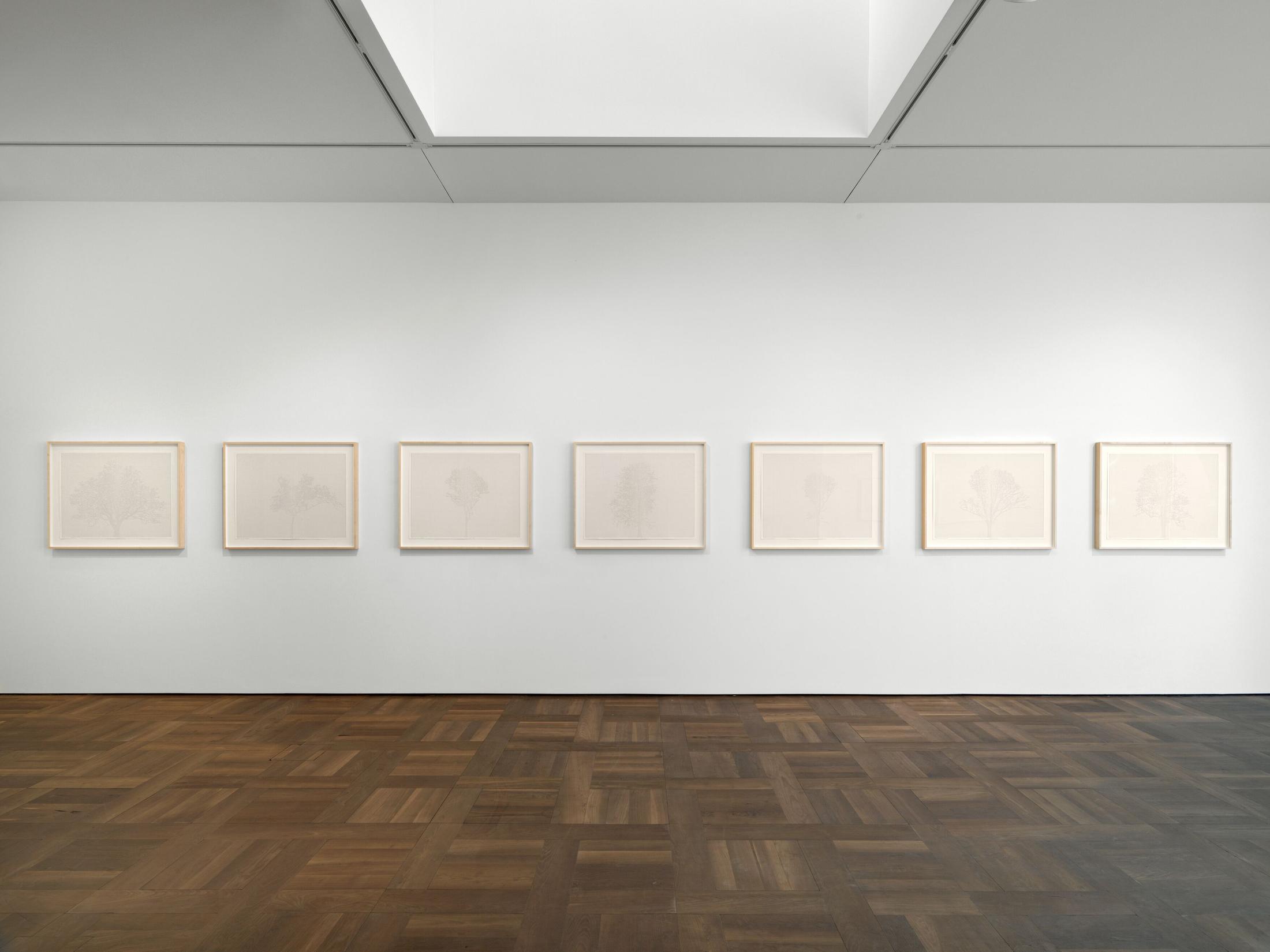 Exhibition View Charles Gaines Soloshow «Drawings» at Hauser & Wirth, St. Moritz, 2020 / Photo: Fredrik Nilsen / © Charles Gaines / Courtesy: the artist and Hauser & Wirth