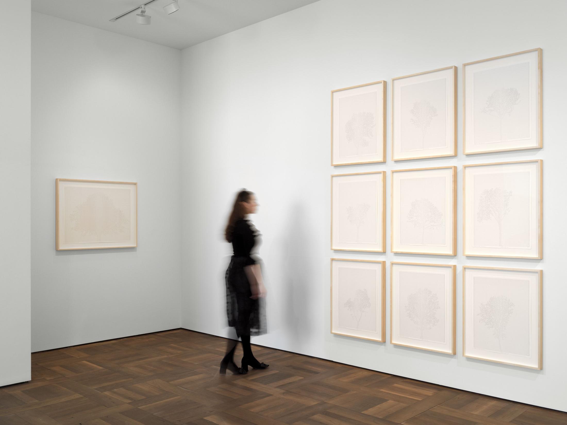 Exhibition View Charles Gaines Soloshow «Drawings» at Hauser & Wirth, St. Moritz, 2020 / Photo: Fredrik Nilsen / © Charles Gaines / Courtesy: the artist and Hauser & Wirth