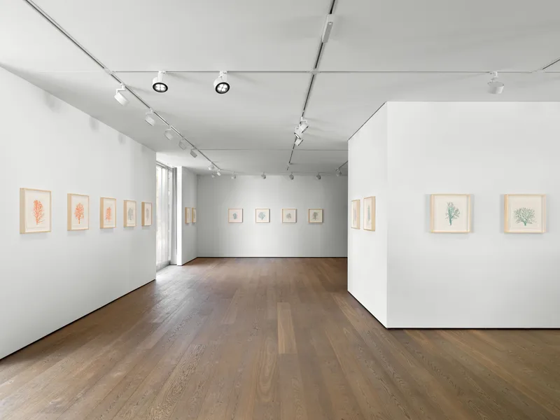 Exhibition View Charles Gaines Soloshow «Drawings» at Hauser & Wirth, St. Moritz, 2020 / Photo: Fredrik Nilsen / © Charles Gaines / Courtesy: the artist and Hauser & Wirth