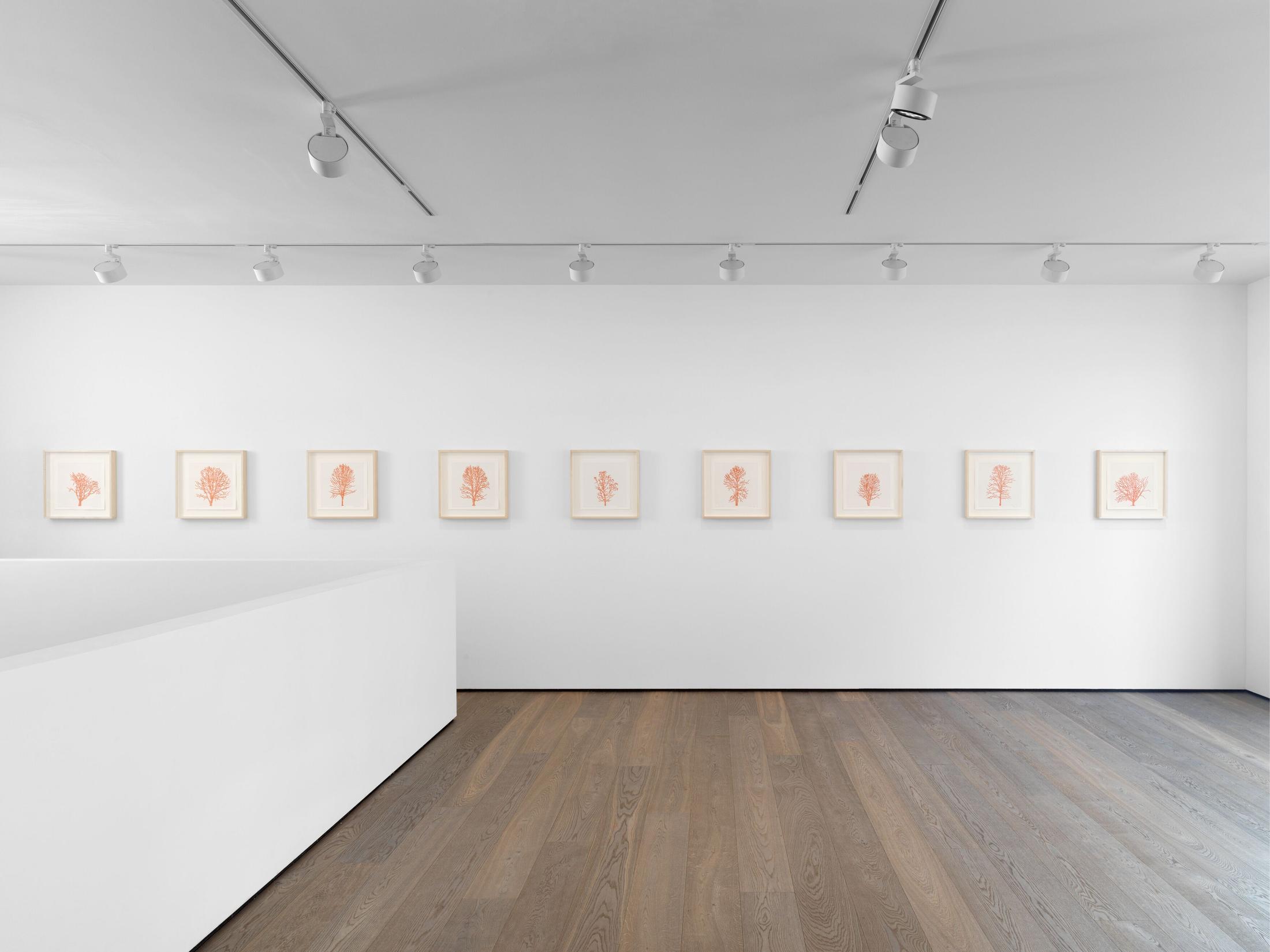 Exhibition View Charles Gaines Soloshow «Drawings» at Hauser & Wirth, St. Moritz, 2020 / Photo: Fredrik Nilsen / © Charles Gaines / Courtesy: the artist and Hauser & Wirth