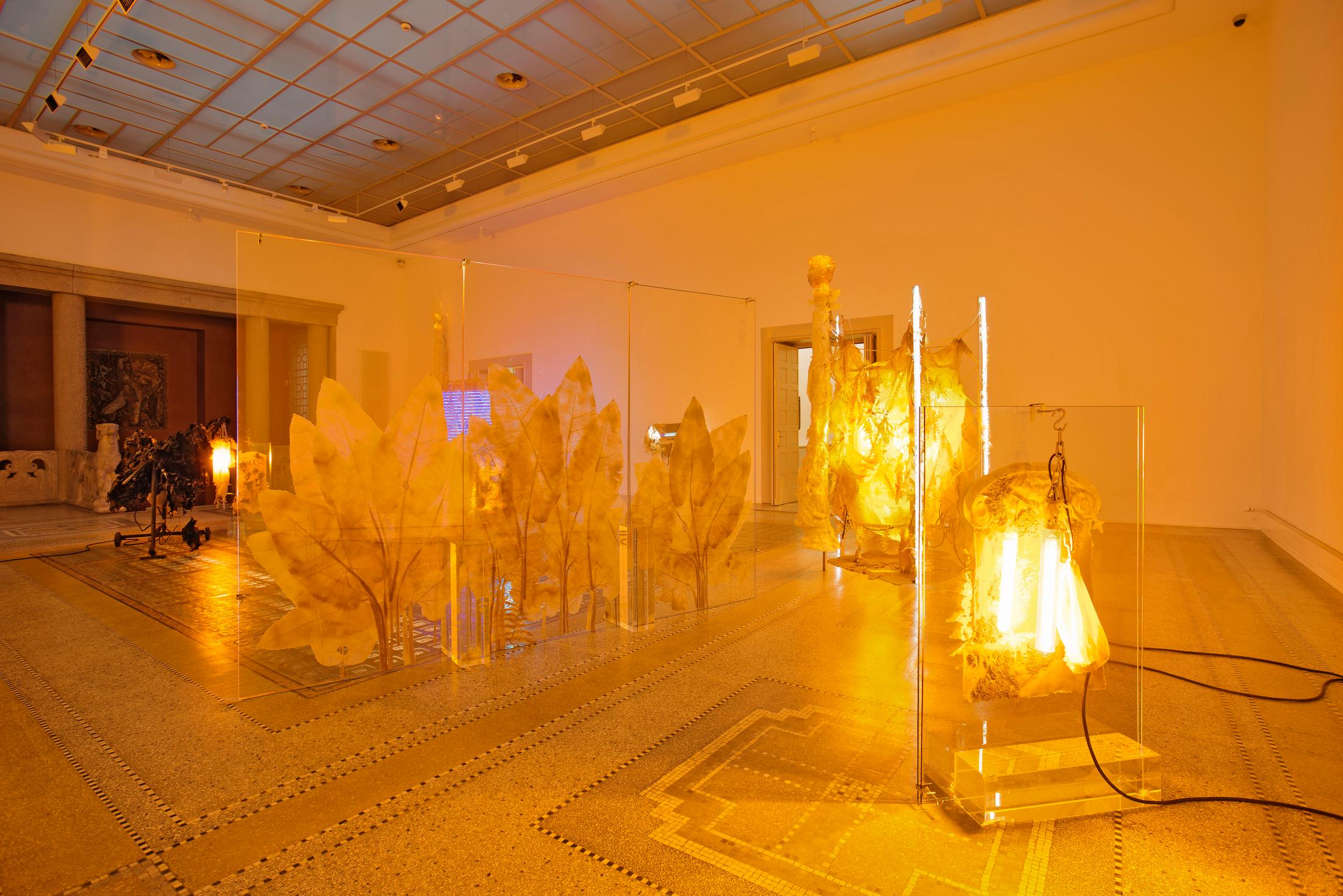 Exhibition View Chloé Delarue Soloshow «TAFAA - ACID RAVE» at MBAC, La Chaux-de-Fonds, 2019 / Photo: Florimond Dupont / Courtesy: the artist and MBAC