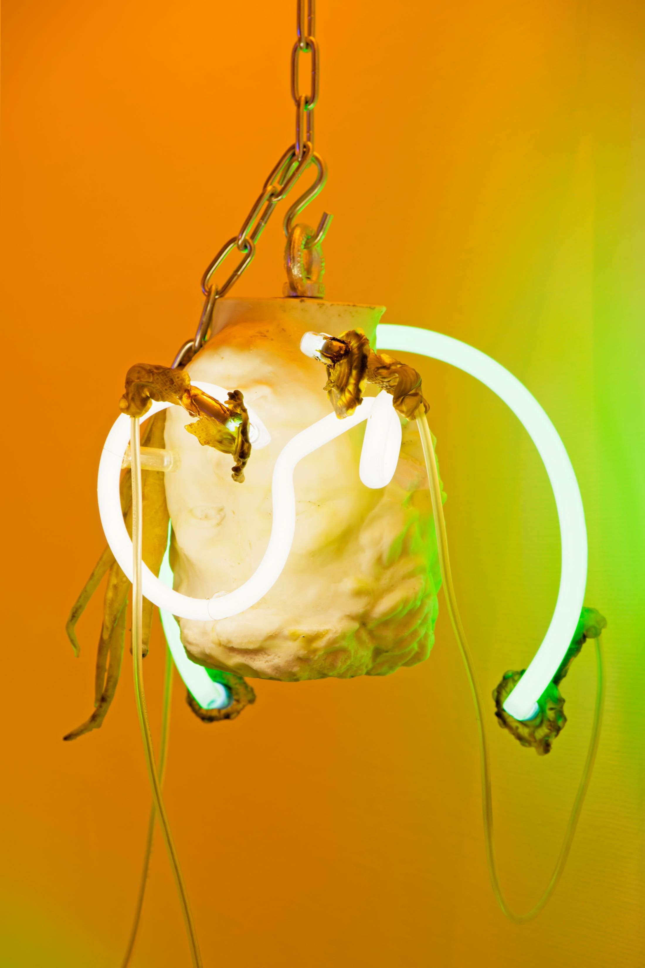 Exhibition View Chloé Delarue Soloshow «TAFAA - ACID RAVE» at MBAC, La Chaux-de-Fonds, 2019 / Photo: Florimond Dupont / Courtesy: the artist and MBAC