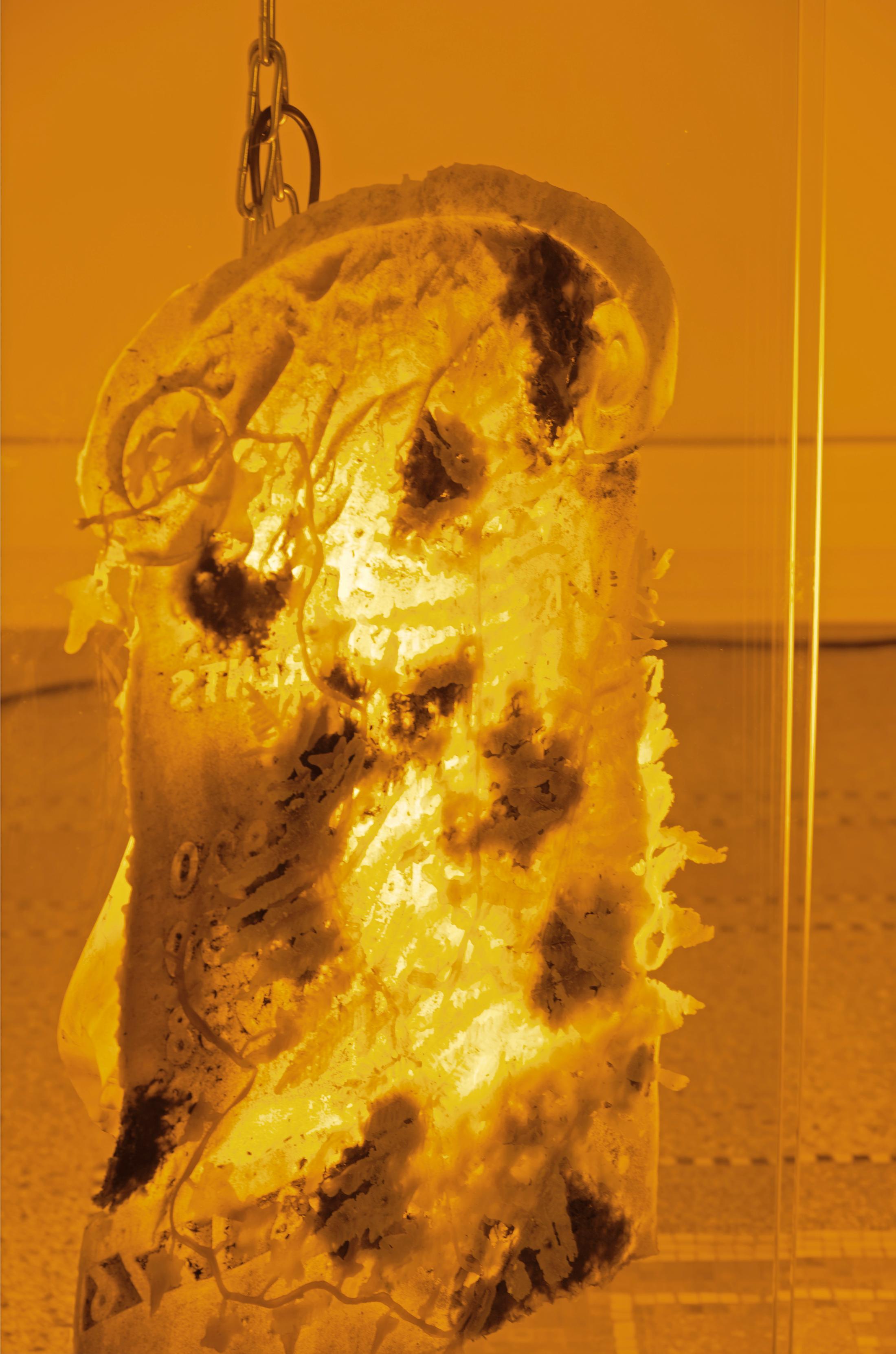 Exhibition View Chloé Delarue Soloshow «TAFAA - ACID RAVE» at MBAC, La Chaux-de-Fonds, 2019 / Photo: Florimond Dupont / Courtesy: the artist and MBAC