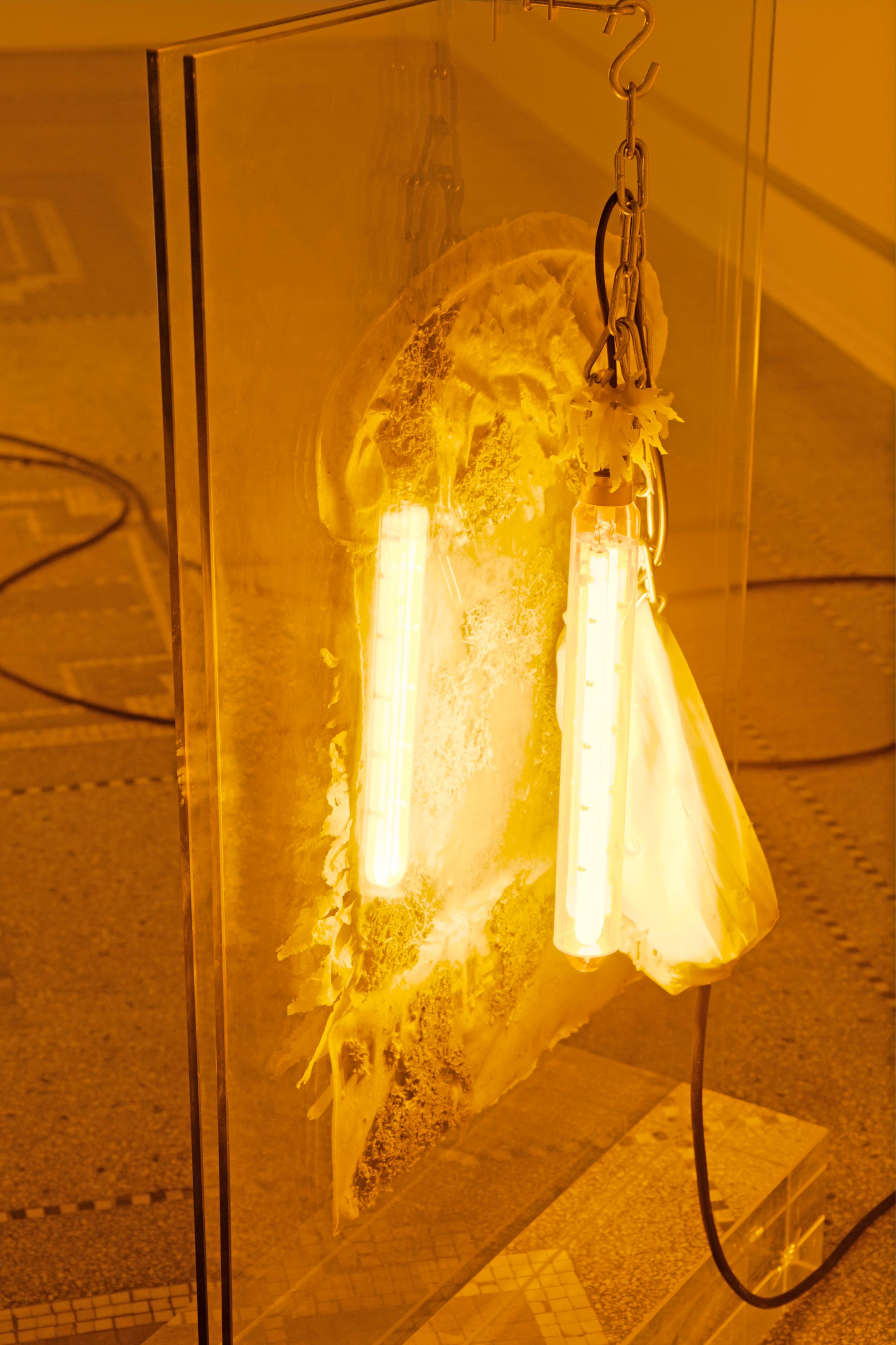 Exhibition View Chloé Delarue Soloshow «TAFAA - ACID RAVE» at MBAC, La Chaux-de-Fonds, 2019 / Photo: Florimond Dupont / Courtesy: the artist and MBAC