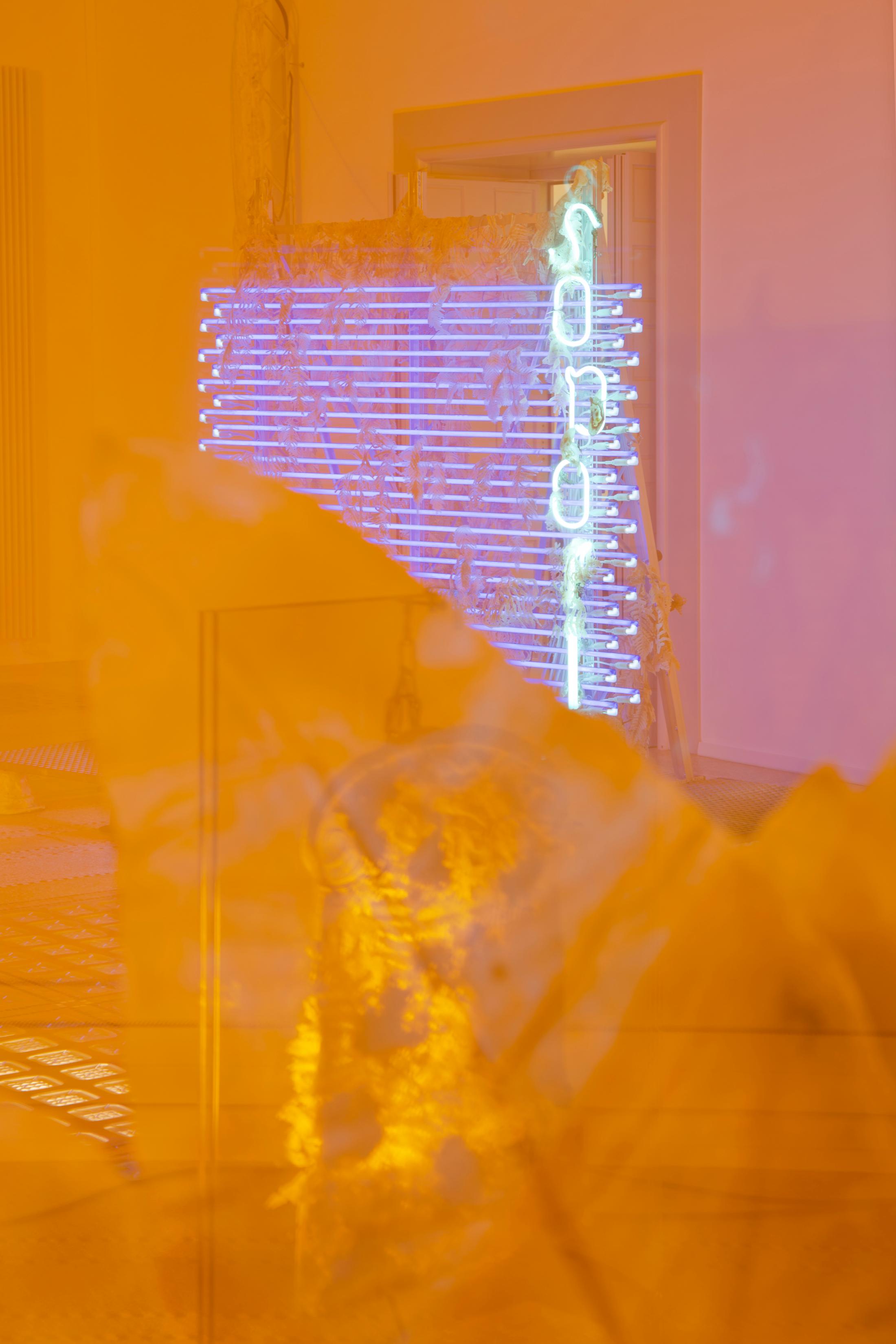 Exhibition View Chloé Delarue Soloshow «TAFAA - ACID RAVE» at MBAC, La Chaux-de-Fonds, 2019 / Photo: Florimond Dupont / Courtesy: the artist and MBAC