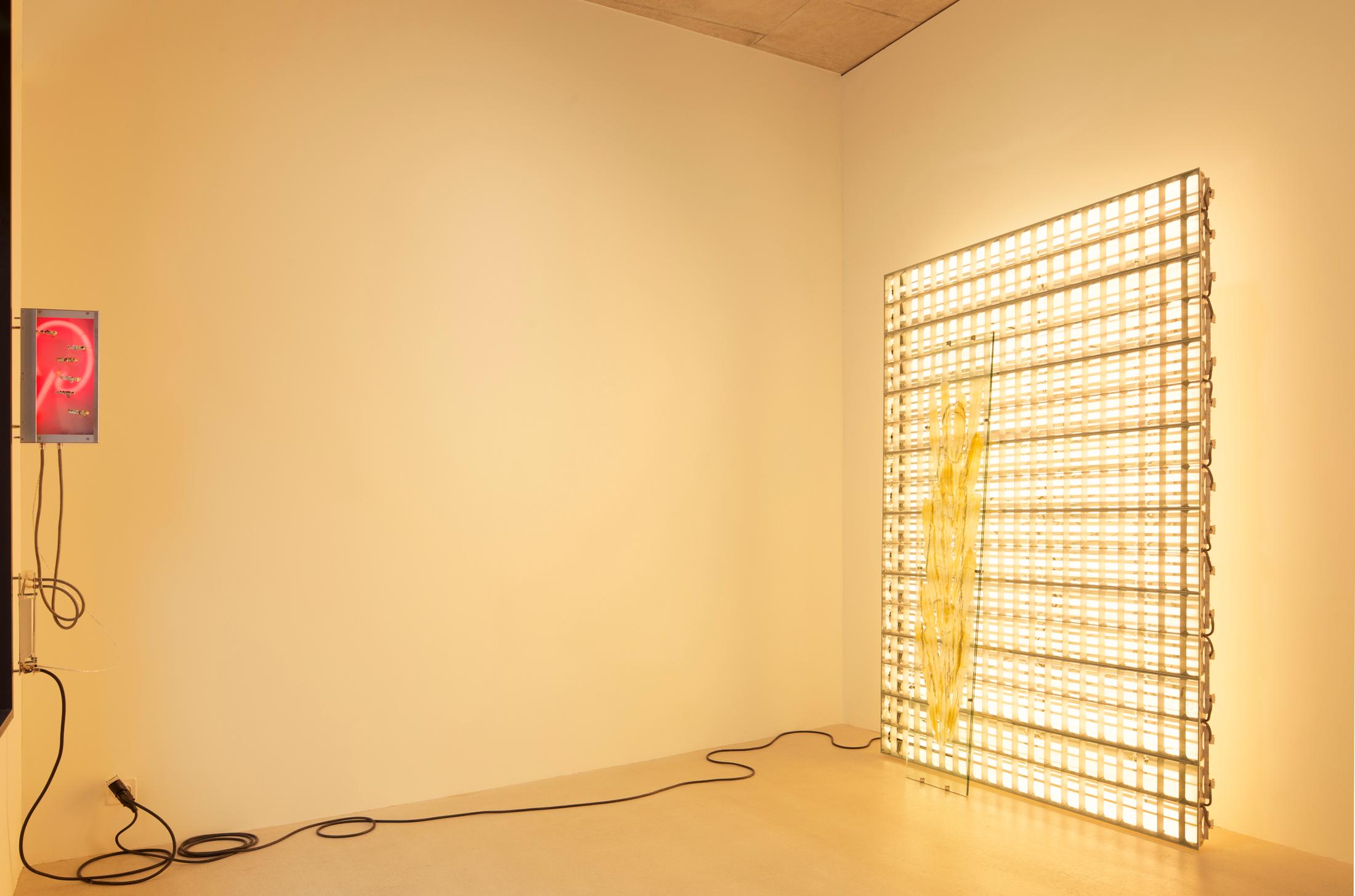 Exhibition View Chloé Delarue Solo Show «TAFAA – BLUE LIGHTS TENDERNESS» at Windhager von Kaenel, Zurich, 2021 / Photo: © Florimond Dupont / Courtesy: the artist and Windhager von Kaenel