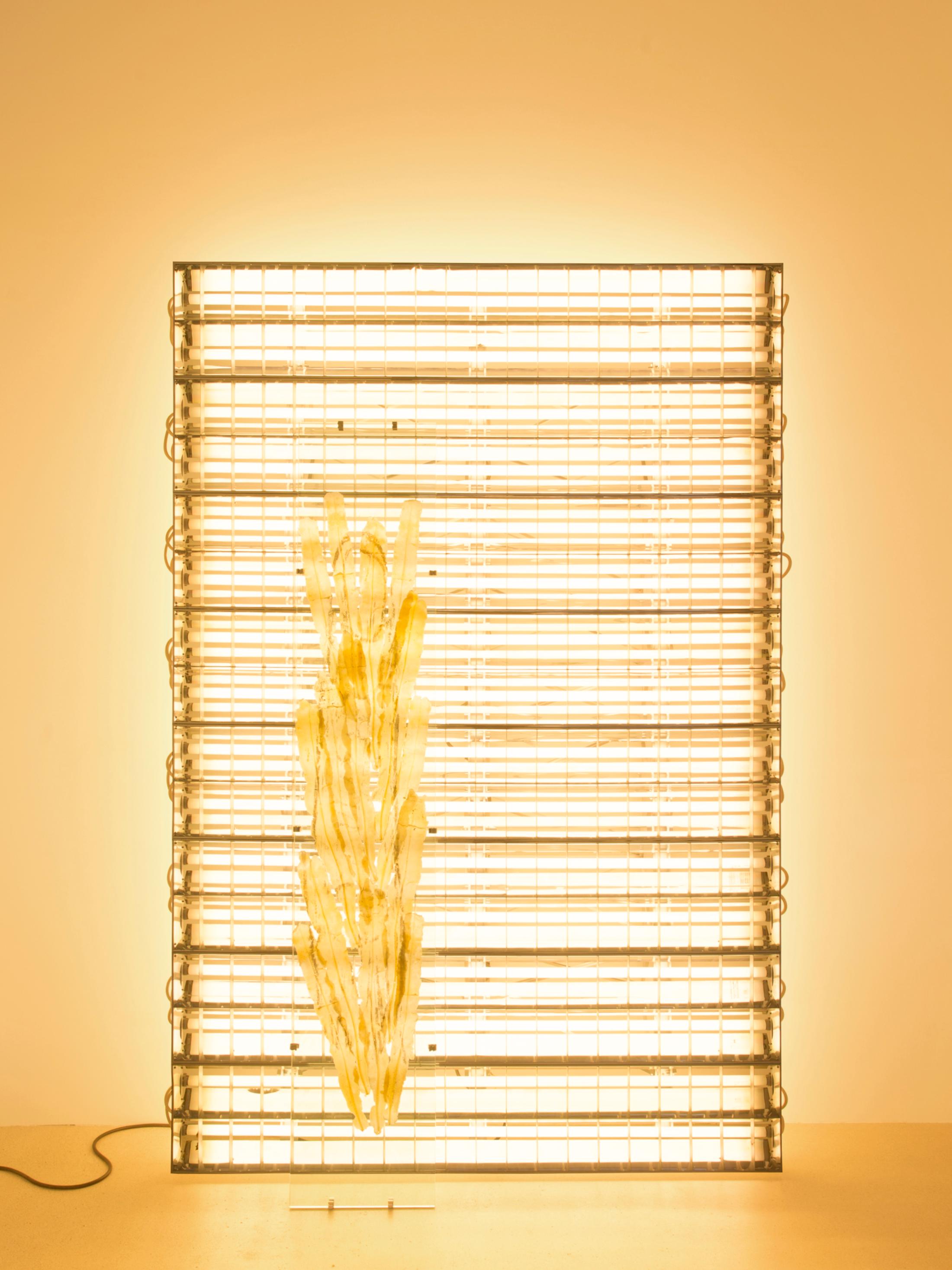 Exhibition View Chloé Delarue Solo Show «TAFAA – BLUE LIGHTS TENDERNESS; view on Chloé Delarue, TAFAA – ONLY RELICS FEEDS THE DESERT (GOODBYE), 2021» at Windhager von Kaenel, Zurich, 2021 / Photo: © Florimond Dupont / Courtesy: the artist and Windhager von Kaenel