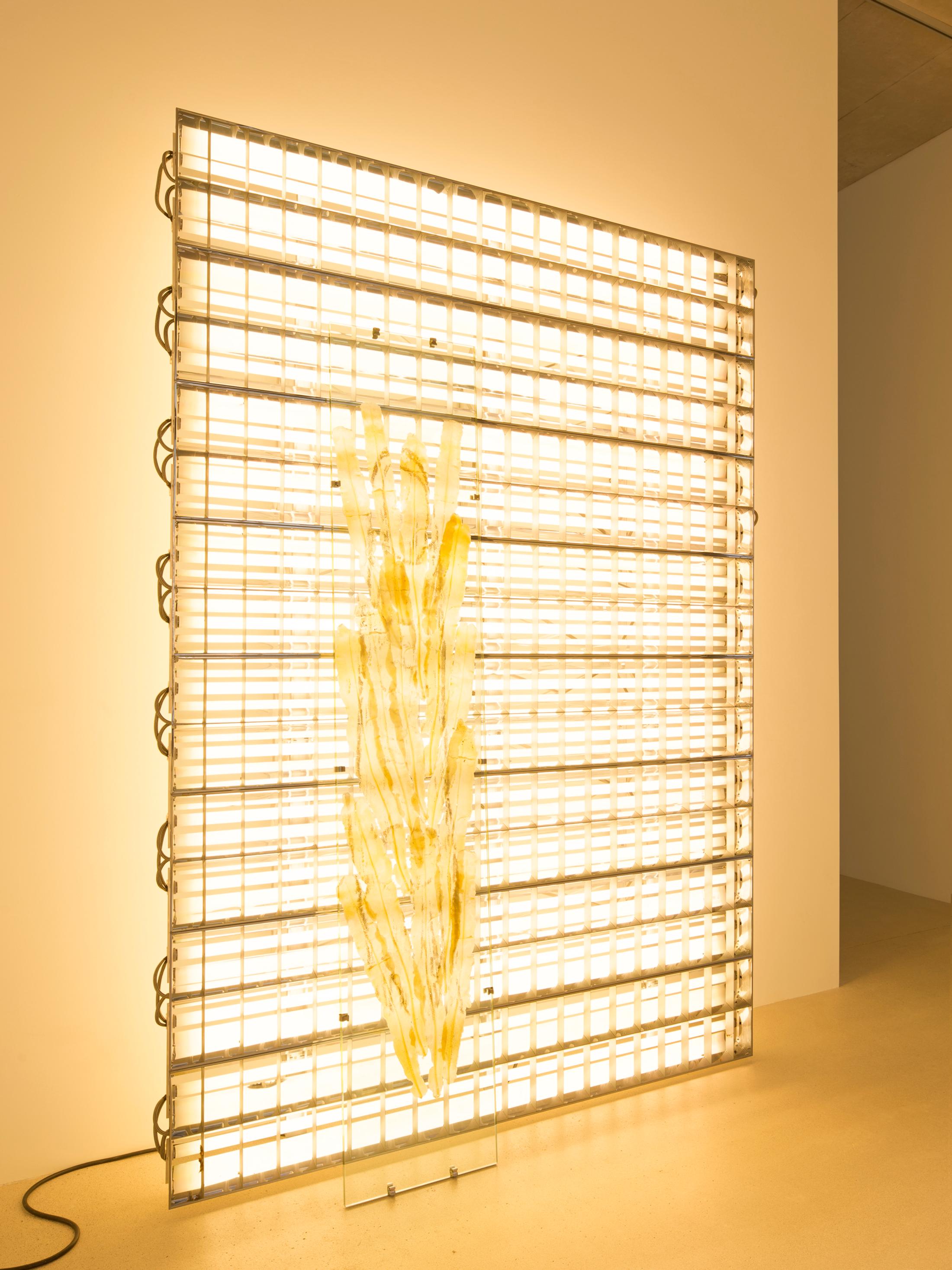 Exhibition View Chloé Delarue Solo Show «TAFAA – BLUE LIGHTS TENDERNESS; view on Chloé Delarue, TAFAA – ONLY RELICS FEEDS THE DESERT (GOODBYE), 2021» at Windhager von Kaenel, Zurich, 2021 / Photo: © Florimond Dupont / Courtesy: the artist and Windhager von Kaenel