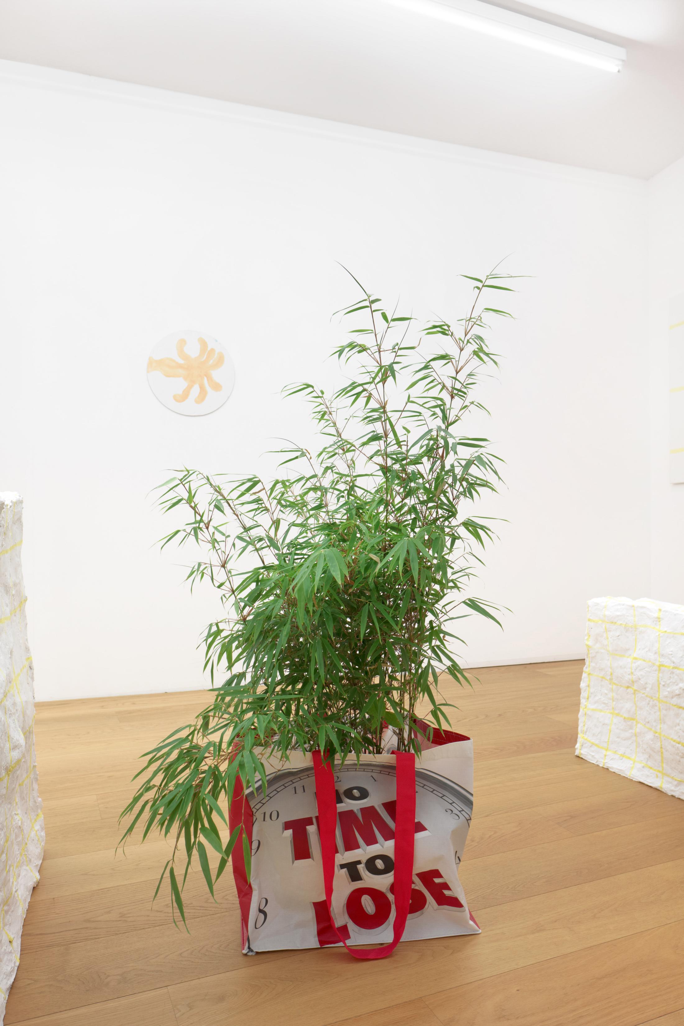 Exhibition View Christian Rothmaler Soloshow «Mountain View on Neom Om / view on Effizienztasche, 2018» at Kirchgasse, Steckborn, 2018