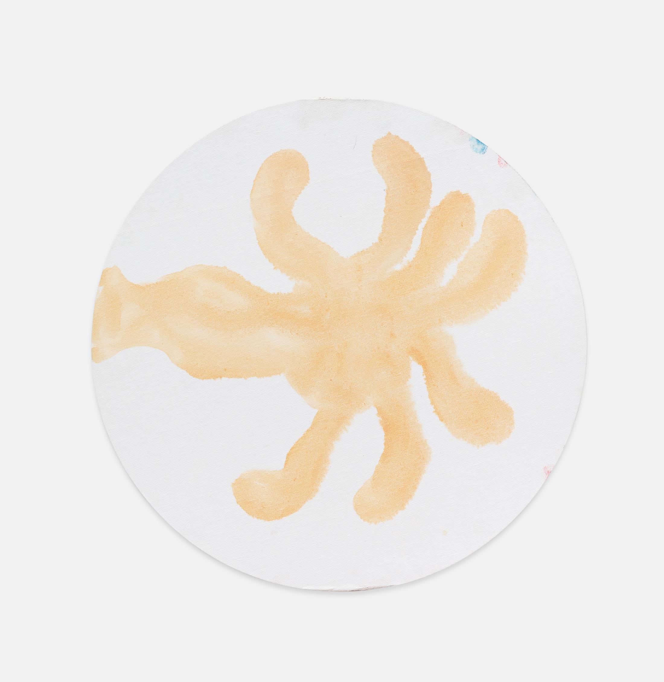 Exhibition View Christian Rothmaler Soloshow «Mountain View on Neom Om / view on Tulpes Hand wird Ali, 2017» at Kirchgasse, Steckborn, 2018