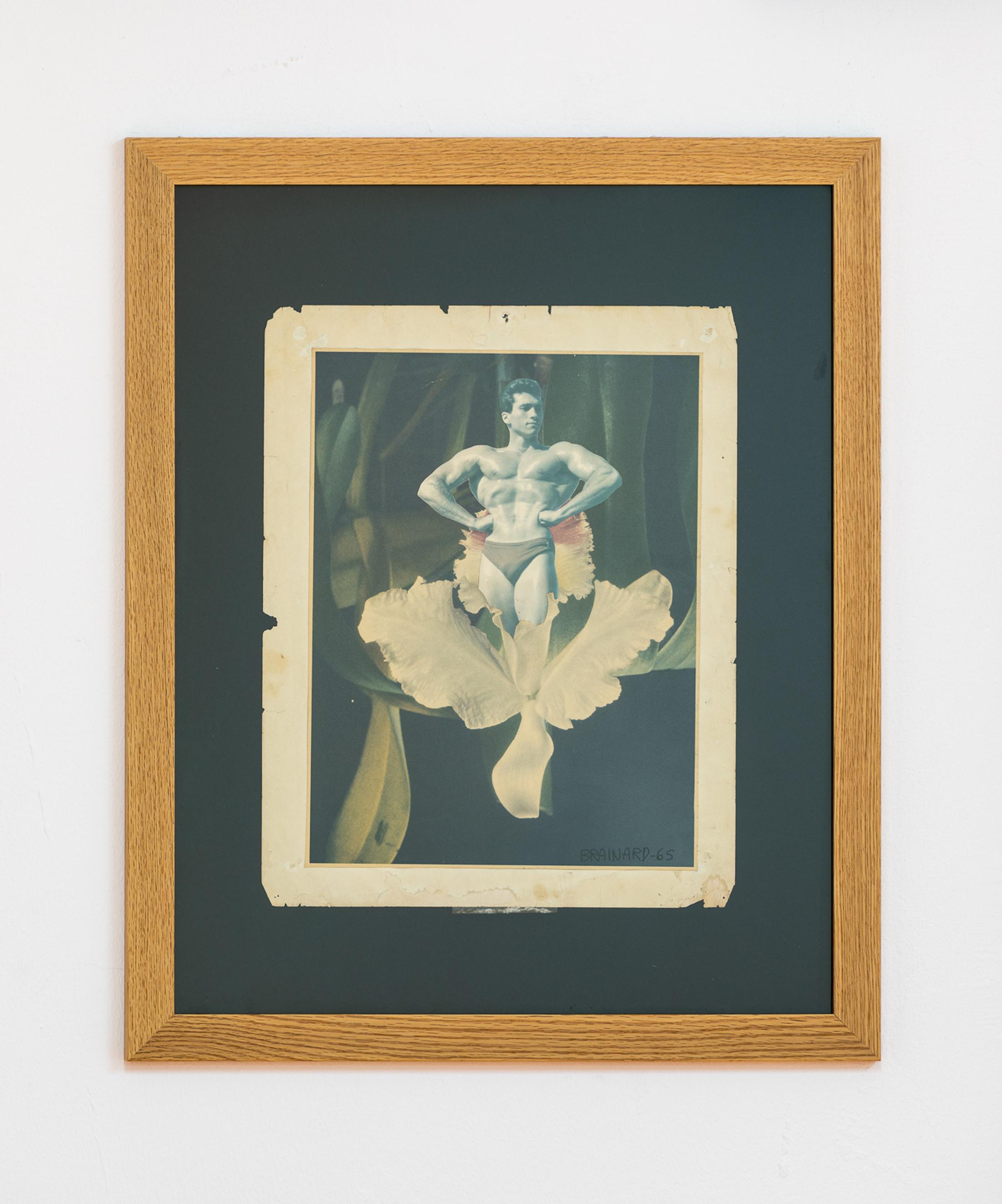 Exhibition View Group Show «Cockroach or Queen?; view on Joe Brainard, Title unknown (Narcissist), 1965, collage, 35 x 28 cm» at Last Tango, Zurich, 2021 / Photo: Kilian Bannwart / Courtesy: Private collection