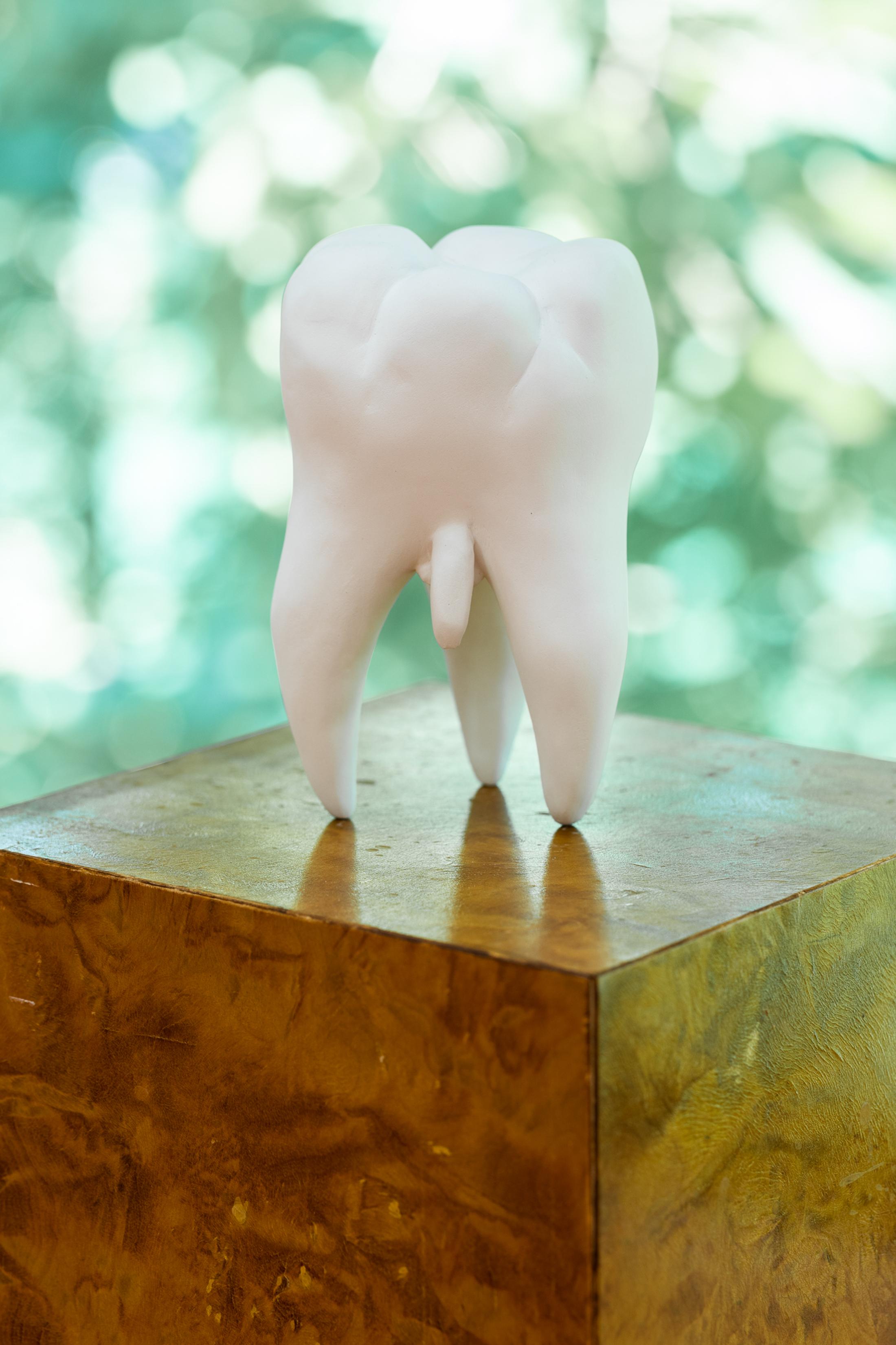 Exhibition View Group Show «Cockroach or Queen?; view on Camillo Paravicini, Wisdom, 2010/2021, porcelain, burl wood plinth, 20 x 7 x 7 cm, 120 x 17 x 17 cm (plinth)» at Last Tango, Zurich, 2021 / Photo: Kilian Bannwart / Courtesy: the artist and Last Tango