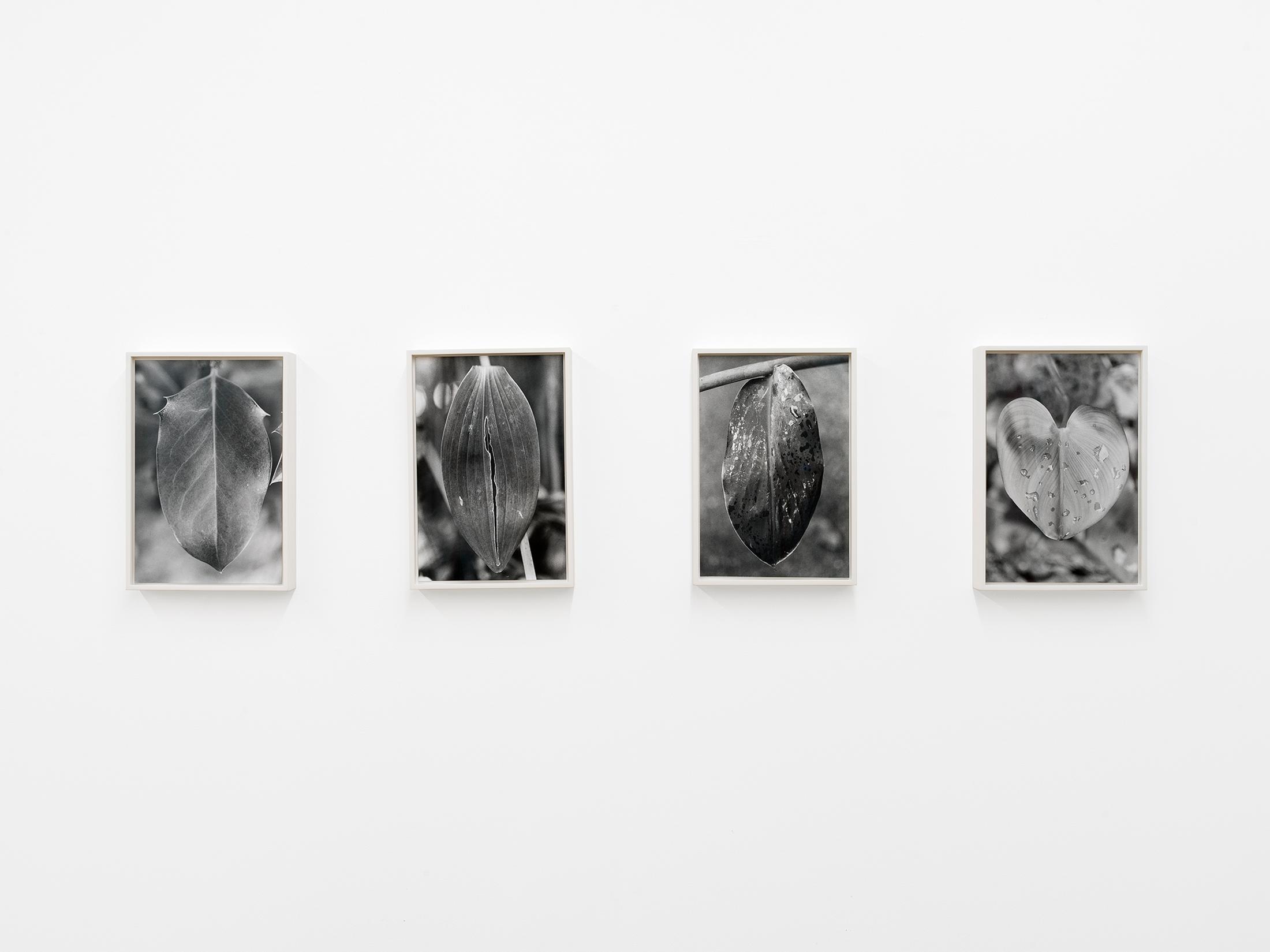 Exhibition View Group Show «Constellations in a Bubble; view on Anouk Tschanz, Blätter, 2019-2021» at Kirchgasse Gallery, Steckborn, 2021 / Photo: CE / Courtesy: the artists and Kirchgasse Gallery