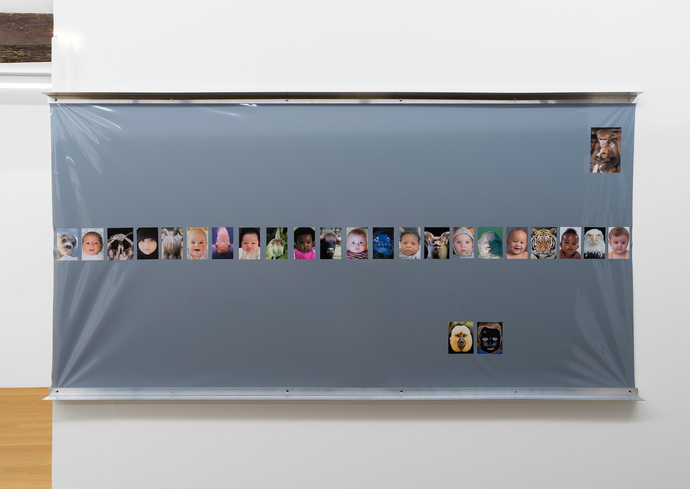 Exhibition View Group Show «Constellations in a Bubble; view on Tobias Hohn & Stanton Taylor, Babies & Animals, 2021» at Kirchgasse Gallery, Steckborn, 2021 / Photo: CE / Courtesy: the artists and Kirchgasse Gallery