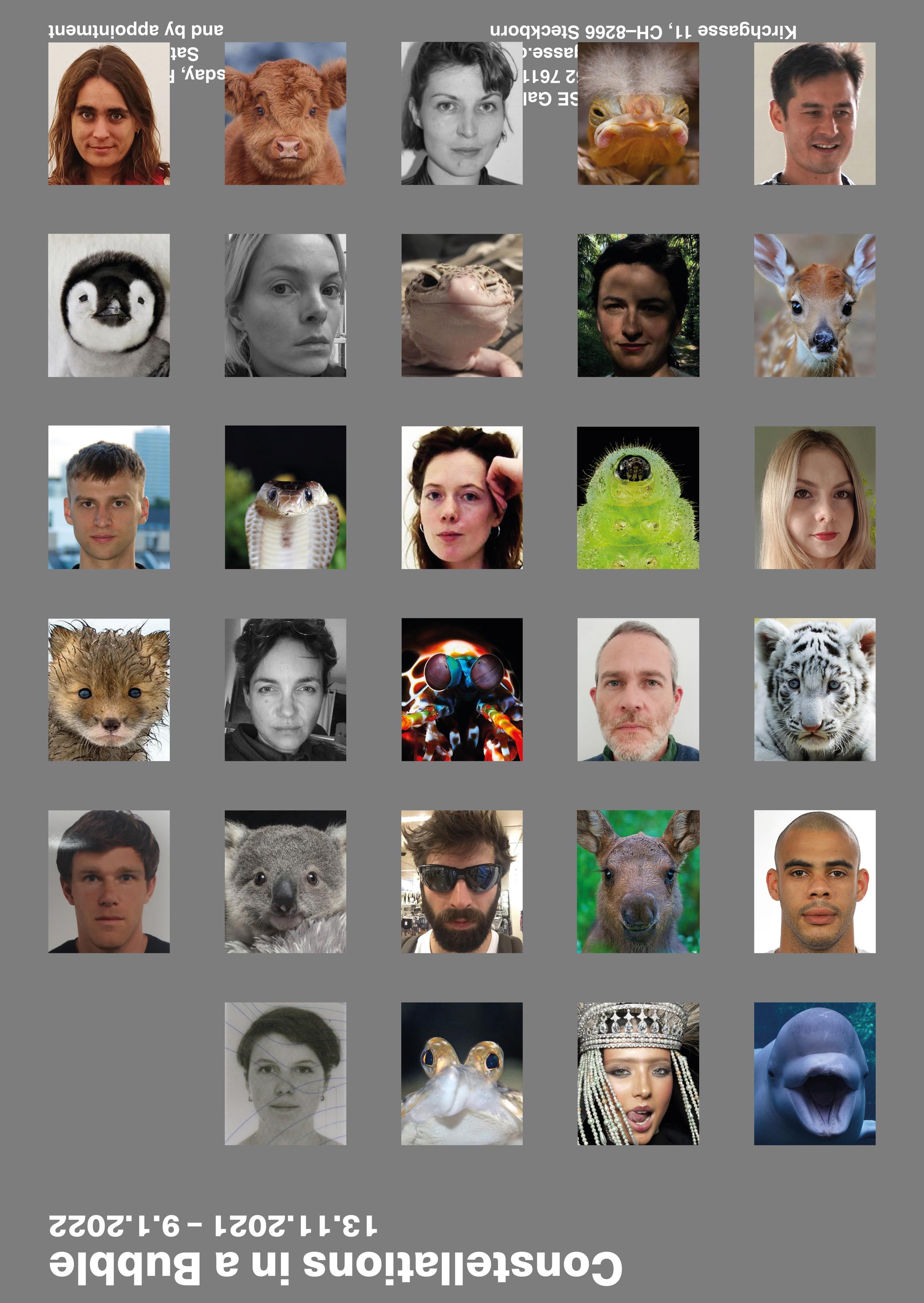 Exhibition View Group Show «Constellations in a Bubble; view on Tobias Hohn & Stanton Taylor, Artists & Animals (Constellations in a Bubble), 2021» at Kirchgasse Gallery, Steckborn, 2021 / Photo: CE / Courtesy: the artists and Kirchgasse Gallery