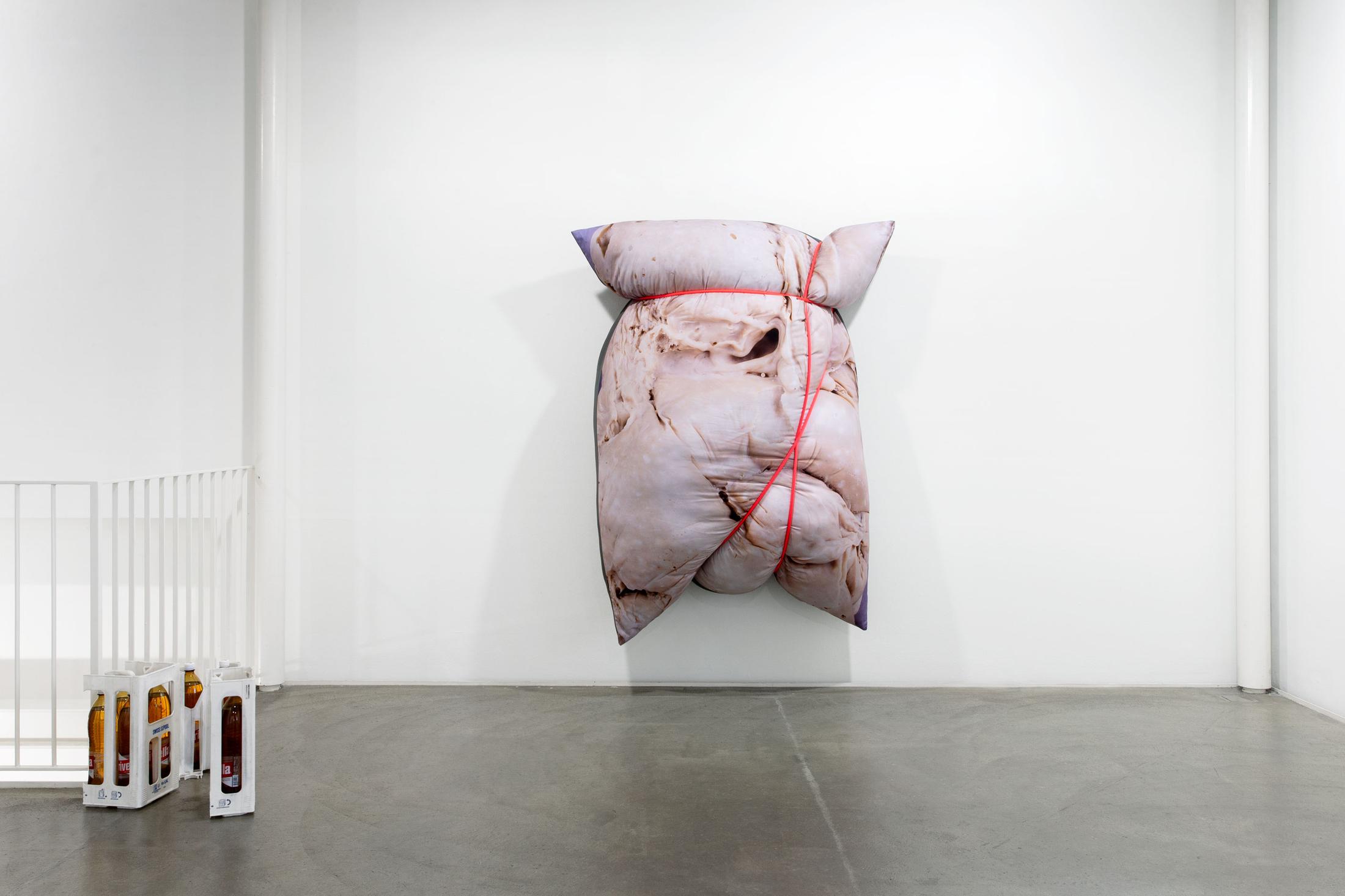 Exhibition View Group Show «Contrology» at Kunst Raum Riehen, 2021 / Photo: Gina Folly / Courtesy: the artists and Kunstraum Riehen