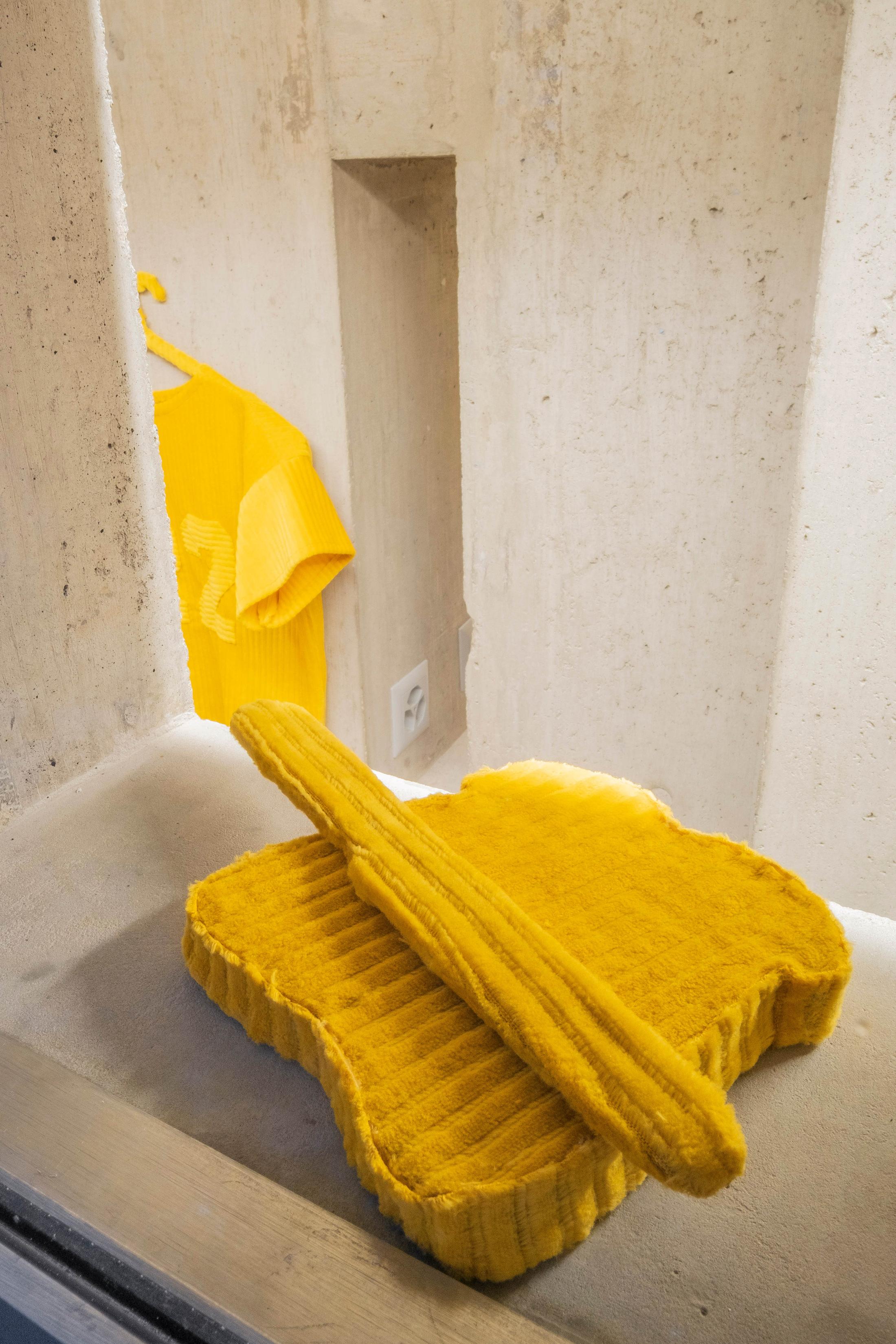 Exhibition View Duo Show «Fool's Gold» at Lemme, Sion, 2022 / Photo: Romain Iannone / Courtesy: the artists and Lemme