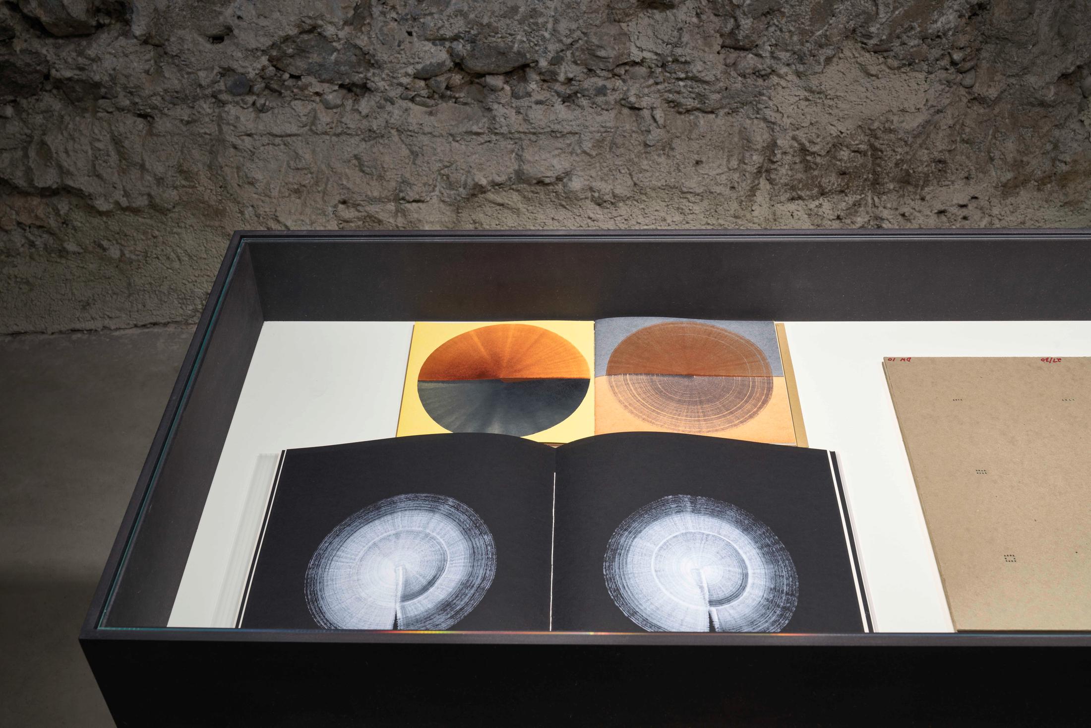 Exhibition View Dan Walsh Soloshow «AfterMath» at Galerie Tschudi, Zuoz, 2020 / Photo: Ralph Feiner, Malans / Courtesy: the artist and Galerie Tschudi