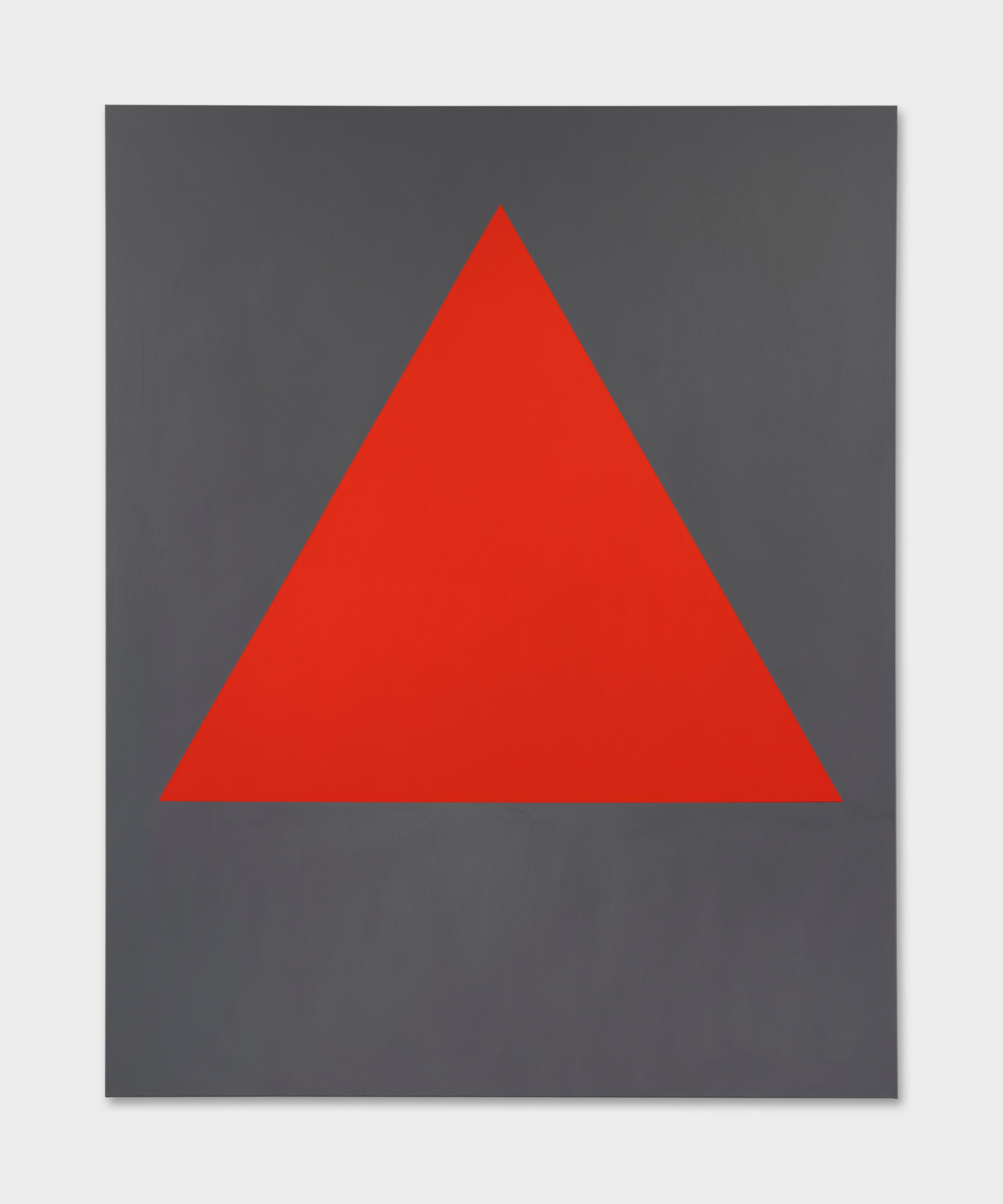 Exhibition View David Malek Soloshow «Binaries; view on Red Triangle, 2019» at Ribordy Thetaz, Geneva, 2020 / Photo: Julien Gremaud / Courtesy: the artist and Ribordy Thetaz