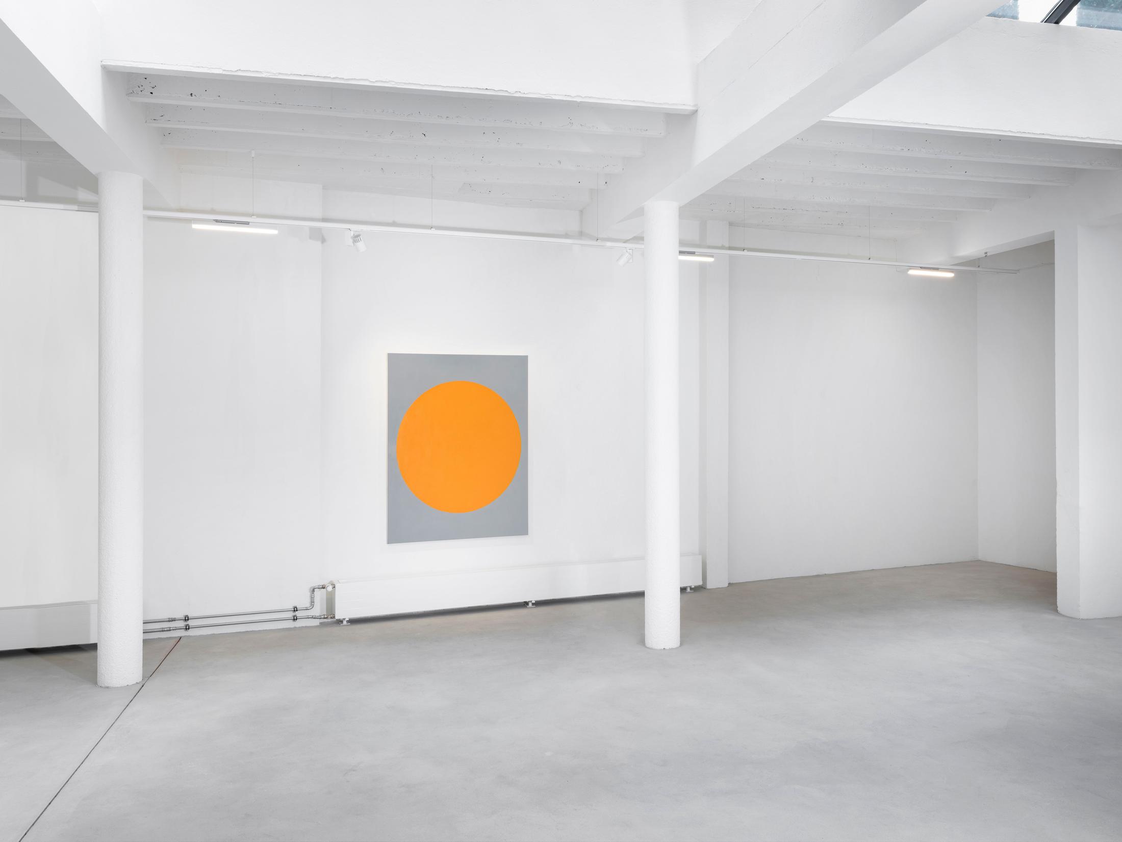 Exhibition View David Malek Soloshow «Binaries» at Ribordy Thetaz, Geneva, 2020 / Photo: Julien Gremaud / Courtesy: the artist and Ribordy Thetaz