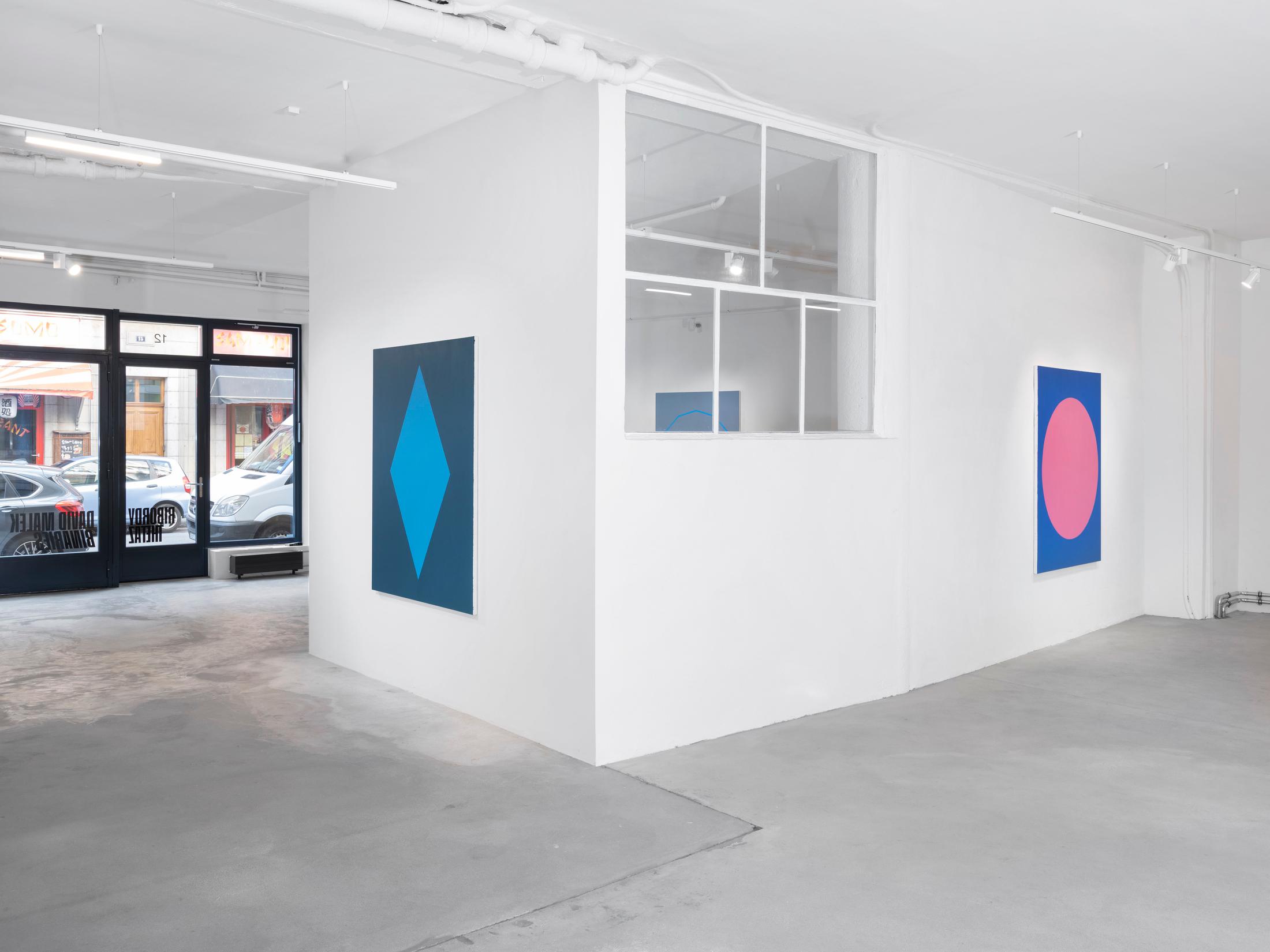 Exhibition View David Malek Soloshow «Binaries» at Ribordy Thetaz, Geneva, 2020 / Photo: Julien Gremaud / Courtesy: the artist and Ribordy Thetaz